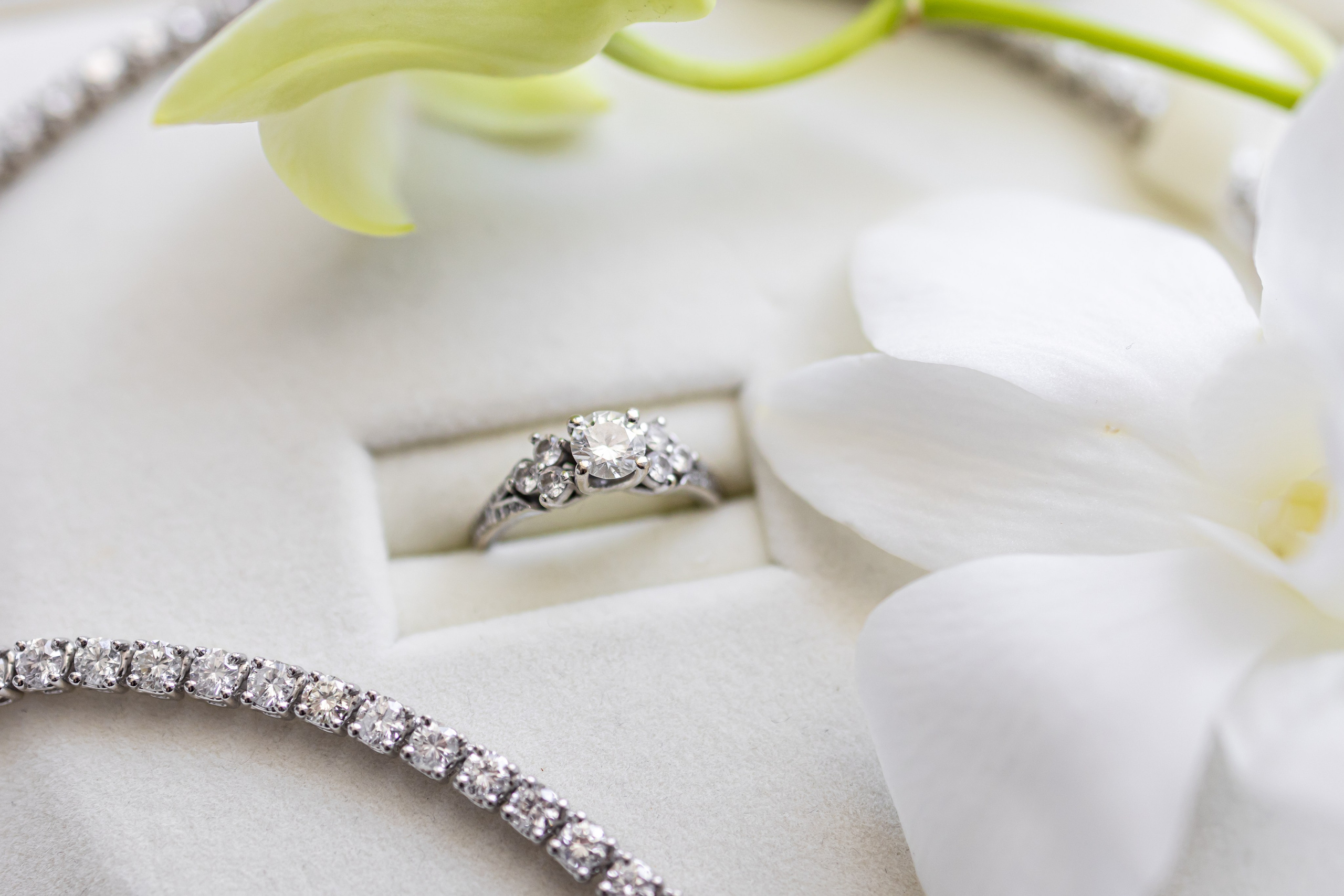 Daniella & Gurshum Wedding, Miami FL. Wedding Photo & Video