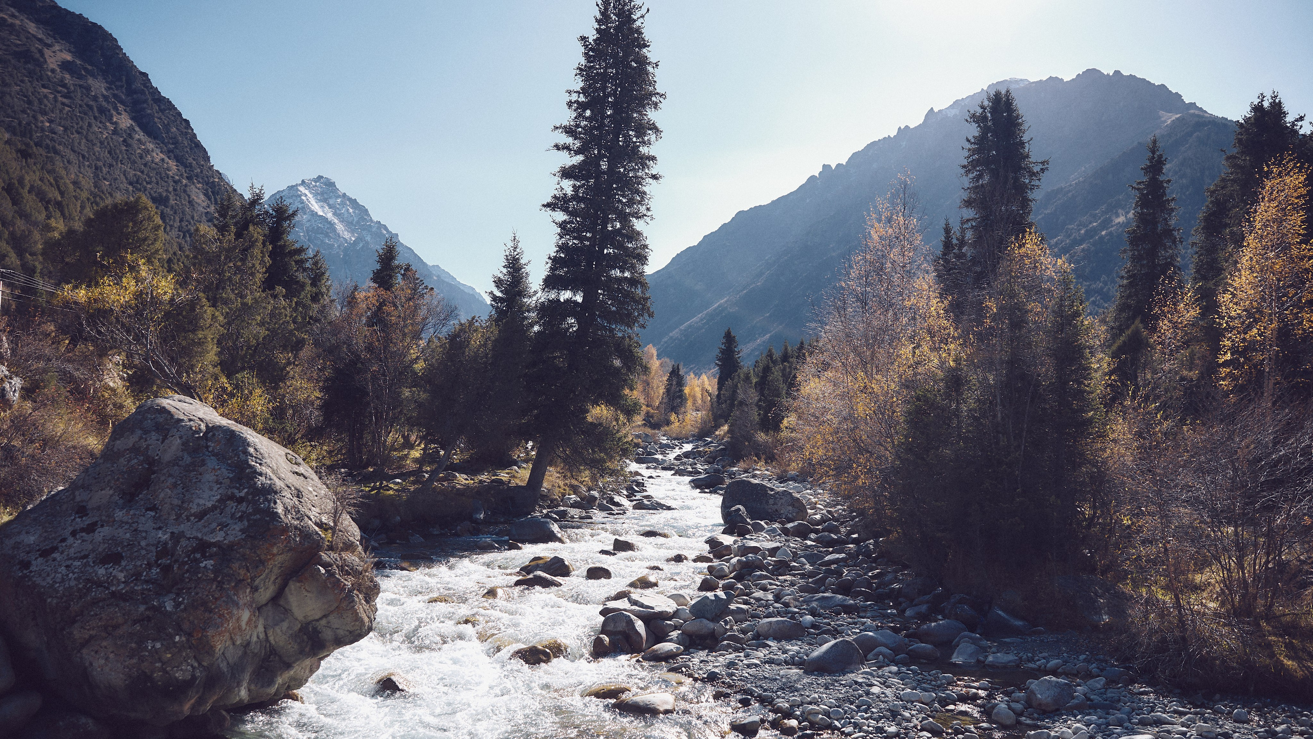 Осеняя прогулка. Валерия Вартанова. Фотограф