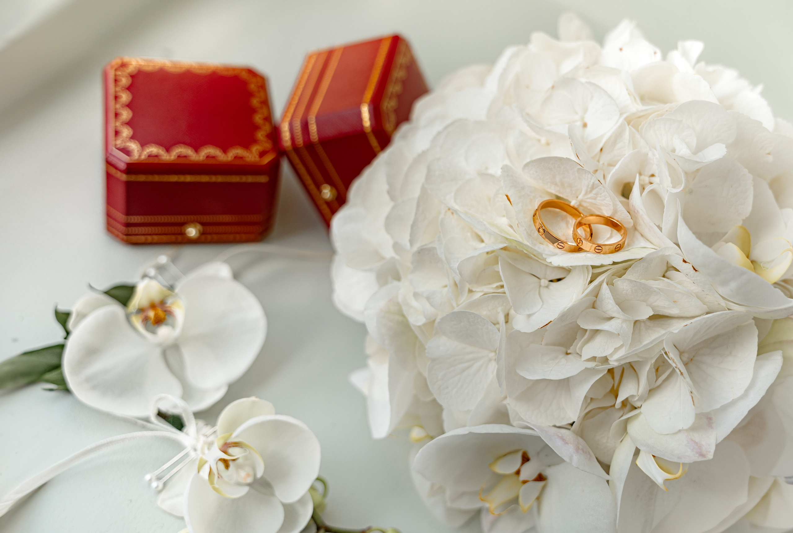 Oleh_Aleksandra. Tonya Kyrylenko photographer in London