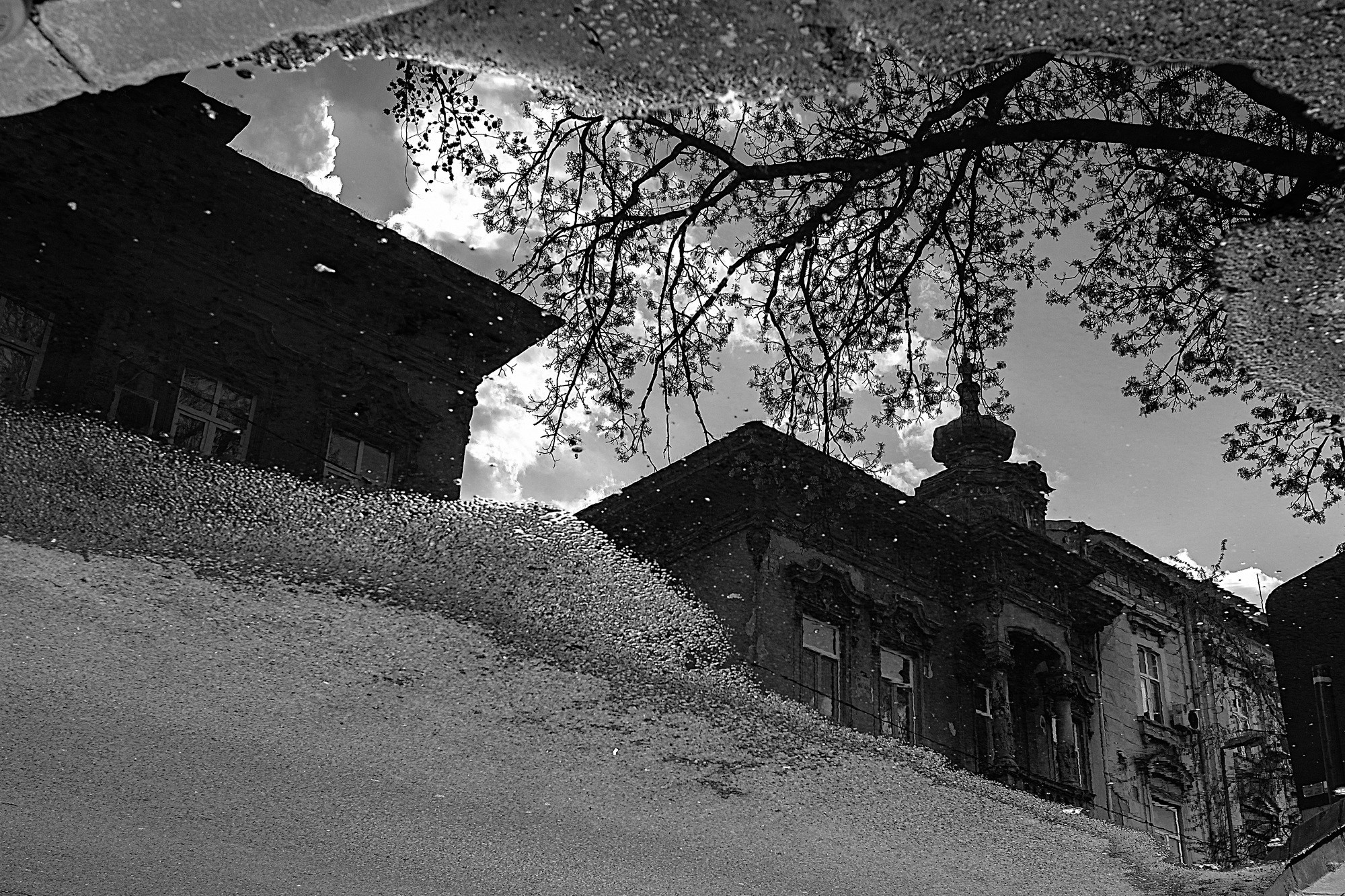 Monochrome. A Creative Insight | Catalin Nastase