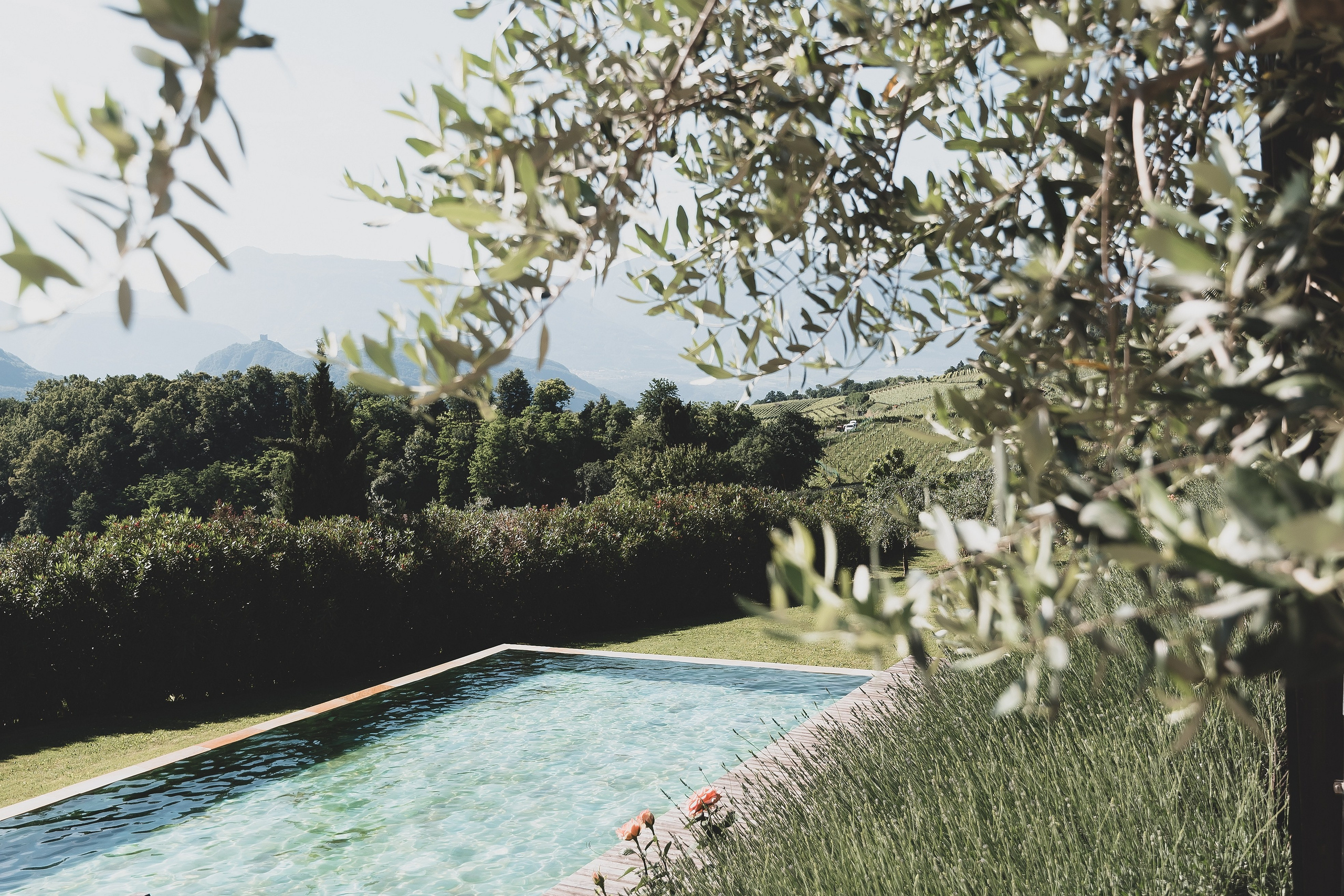 Die Sonne. Familienfotografin aus Sterzing Elena Muehlsteiger