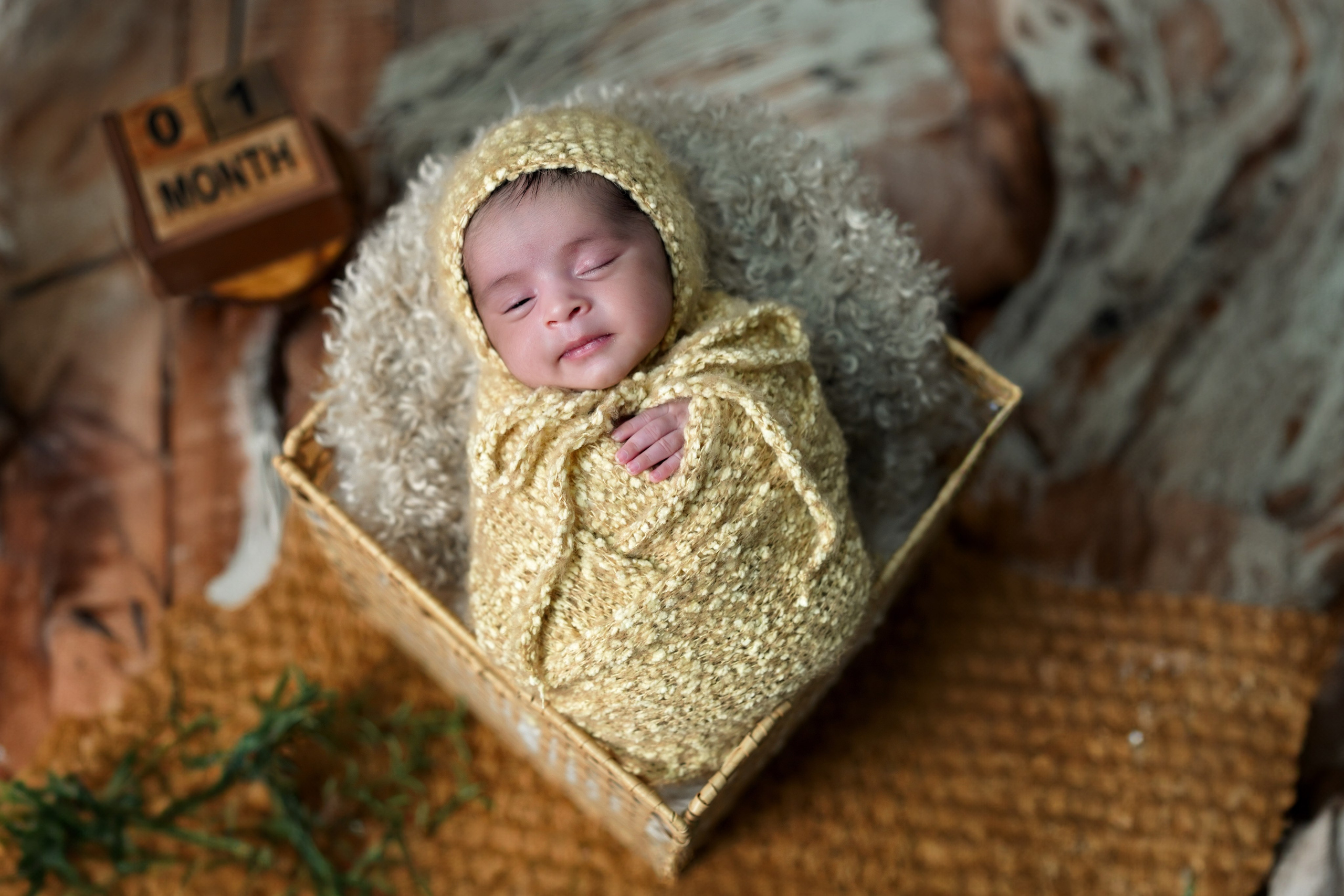 New born. TNF photo & filming