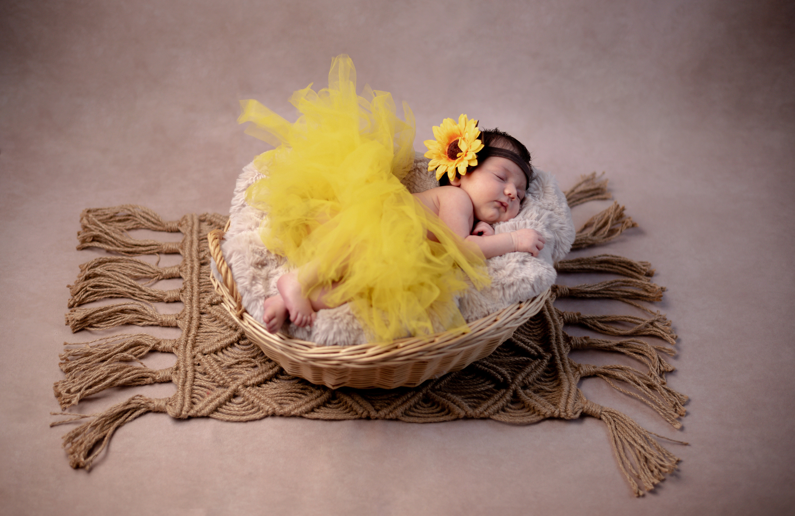 Newborn Photoshoot. Professional Photograher, Antwerpen/Belgium