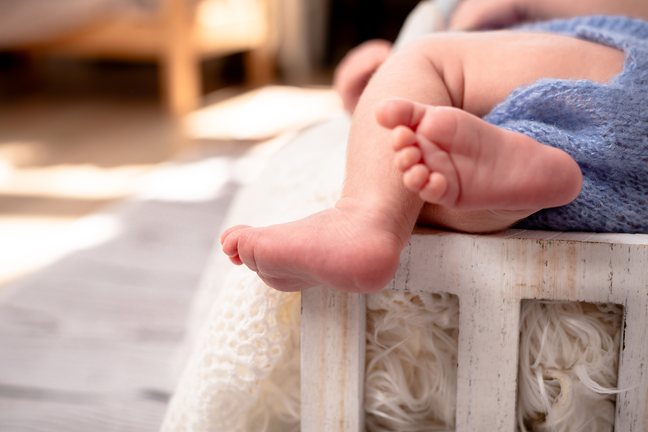 Newborn Photoshoot. Professional Photograher, Antwerpen/Belgium