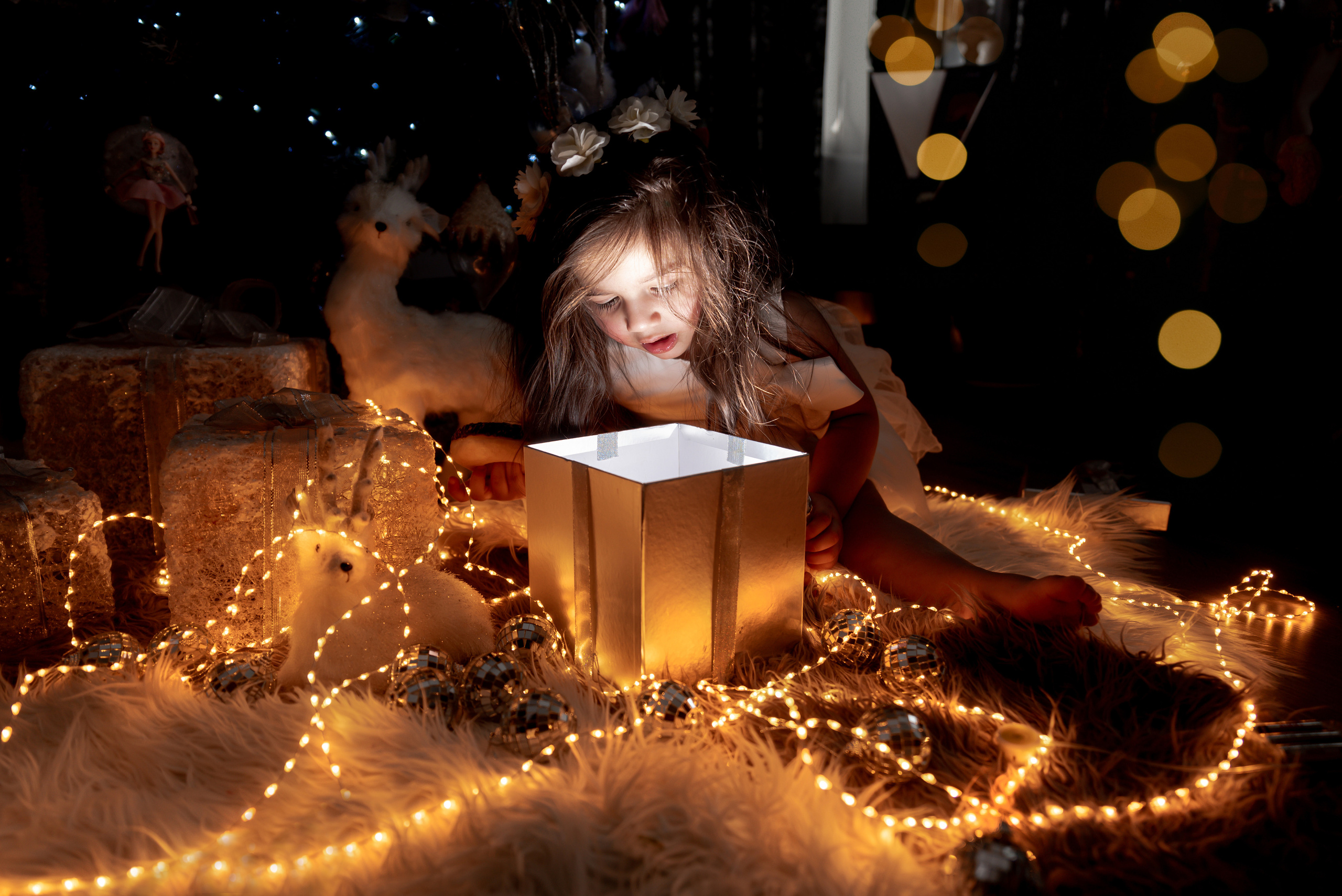 New Year Photoshoot. Professional Photograher, Antwerpen/Belgium