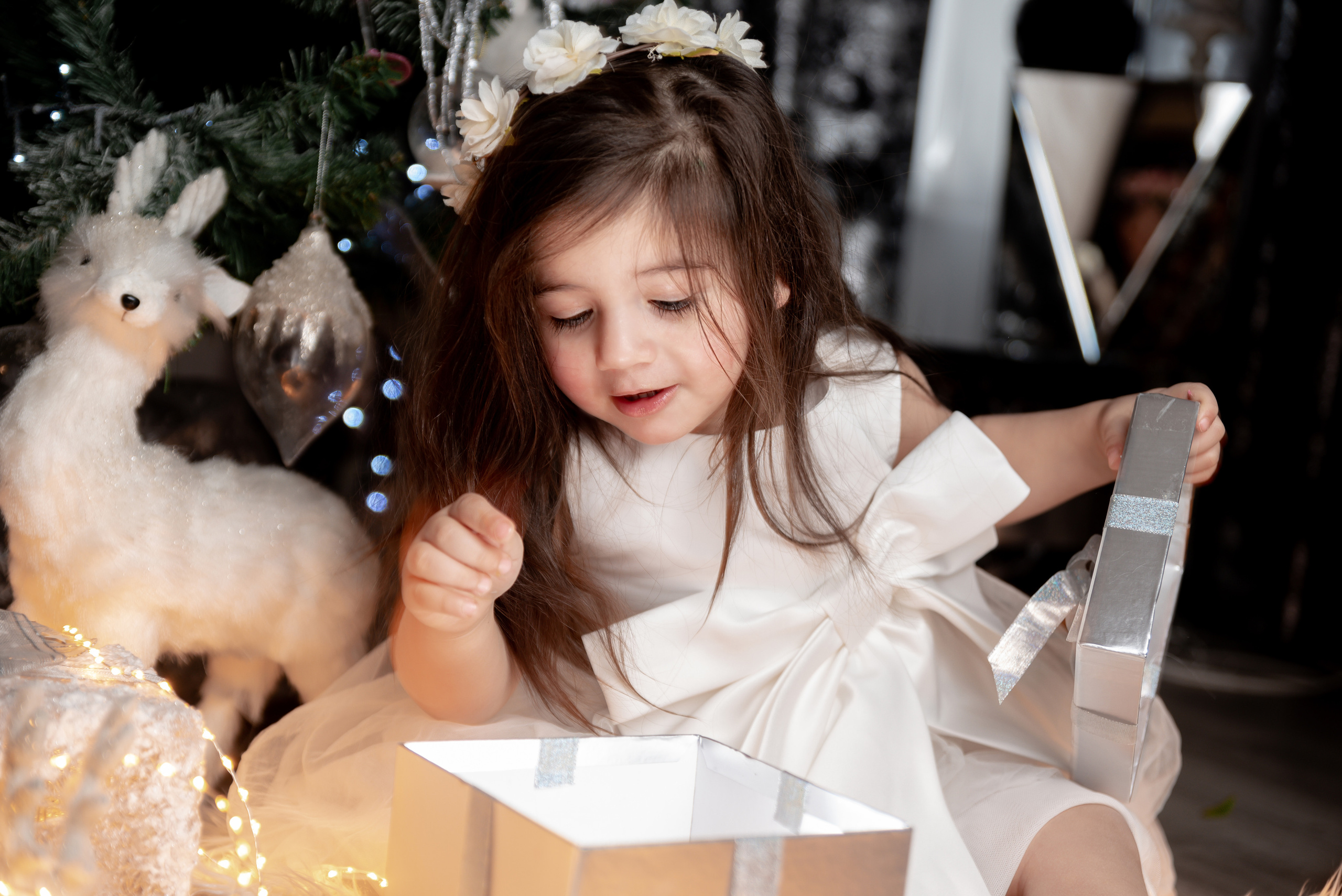 New Year Photoshoot. Professional Photograher, Antwerpen/Belgium