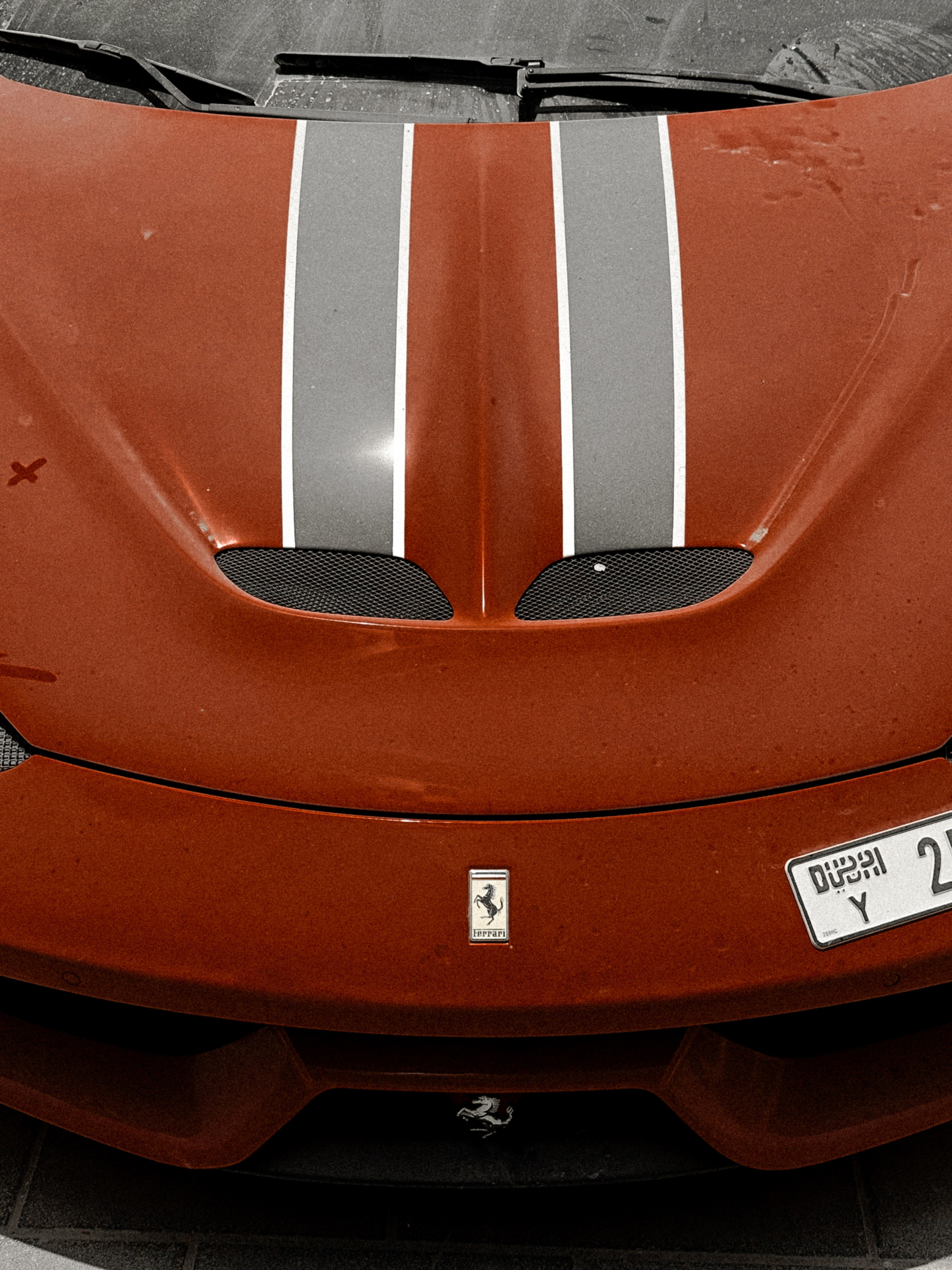 Auto. Julia Erina photographer Dubai