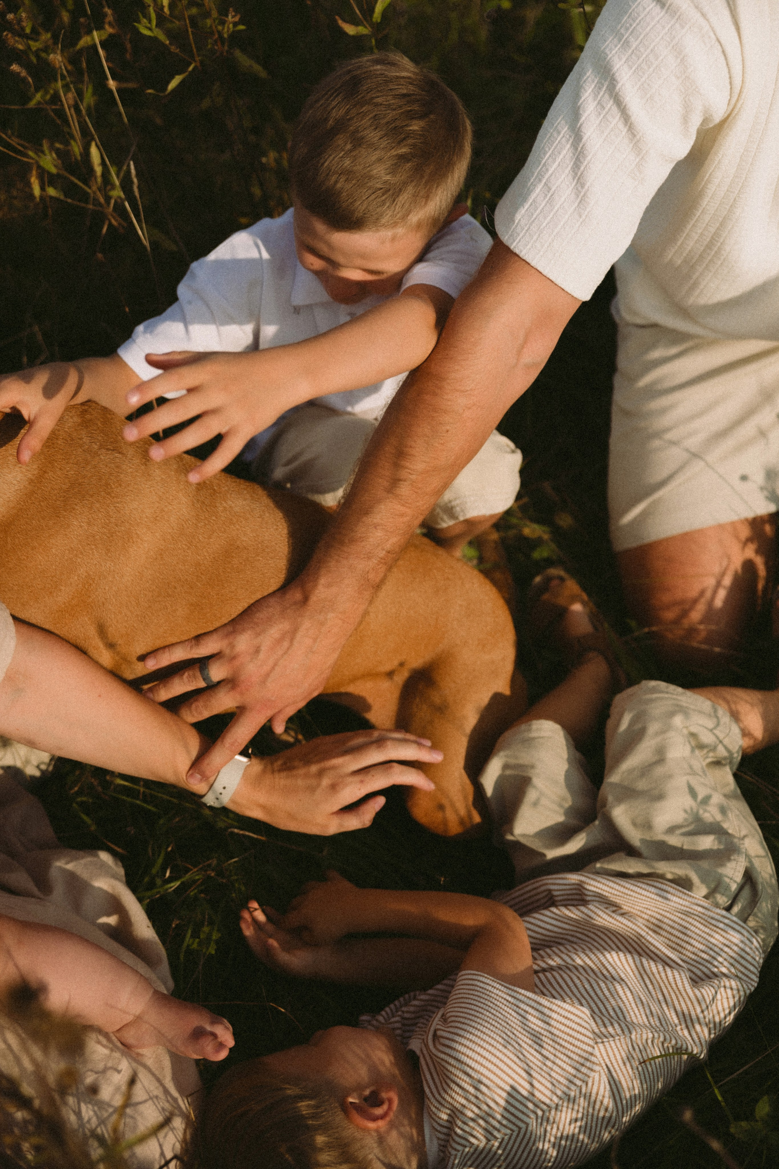 Simonos ir Mariaus šeima | PIEVA. Vestuvių ir šeimų fotografė Lena Bondarenko / belove photo