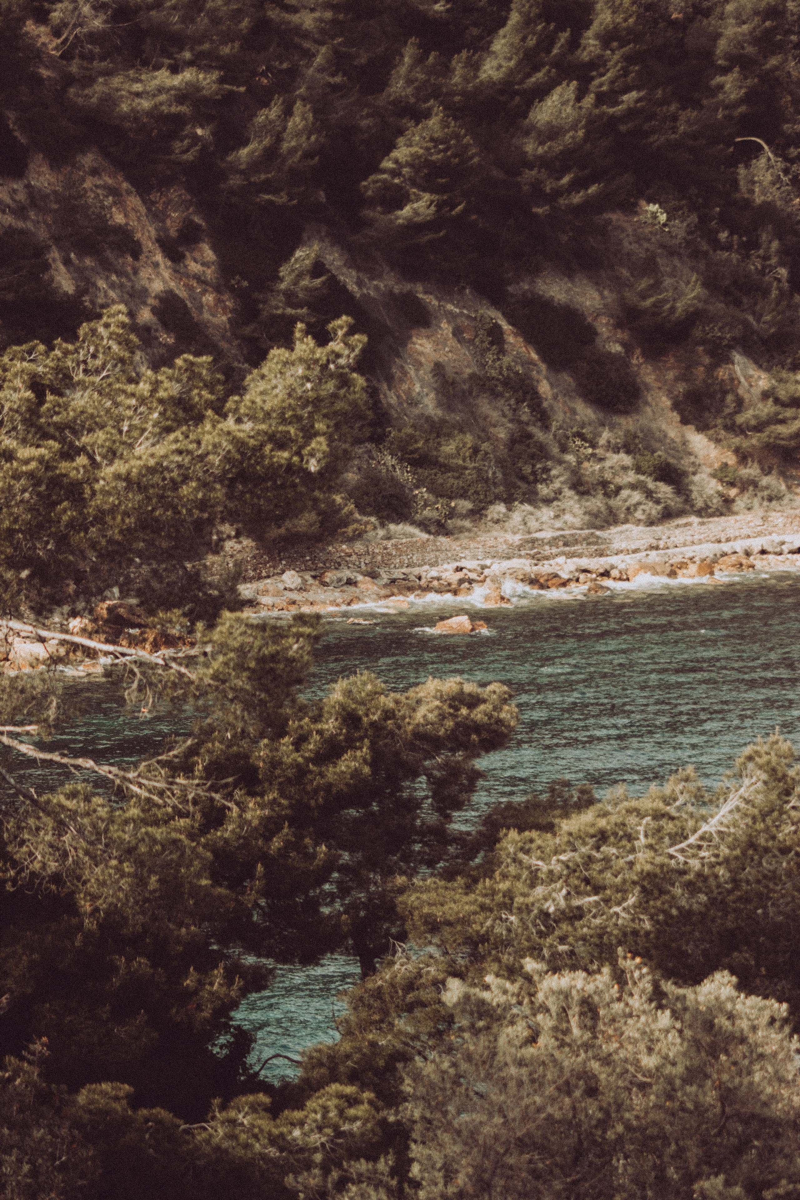 Anse Magaud, Cap Brun, Toulon. Photographe à la Seyne sur Mer, Var