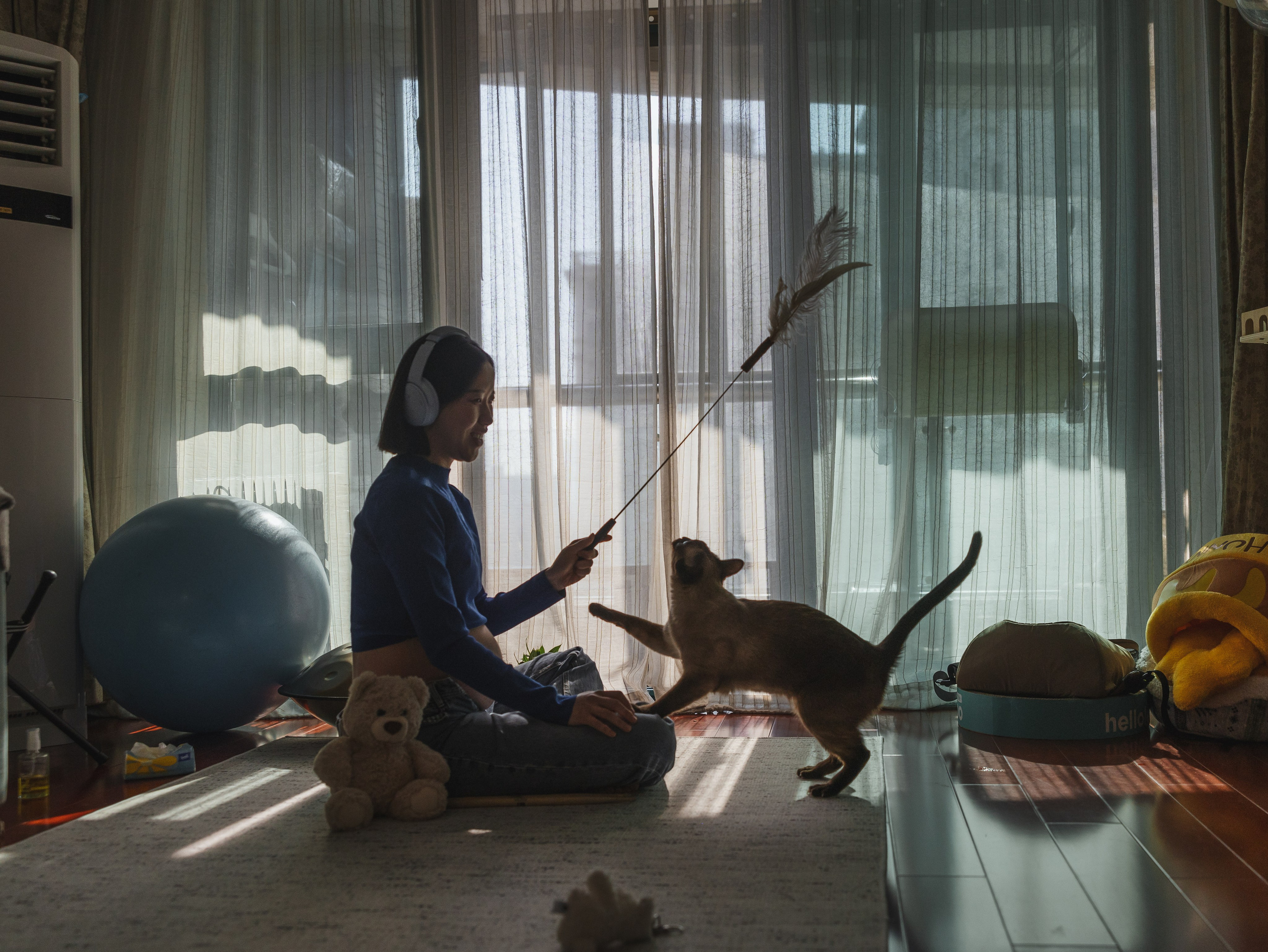 Photos of pets. Shanghai Family Photographer Dora