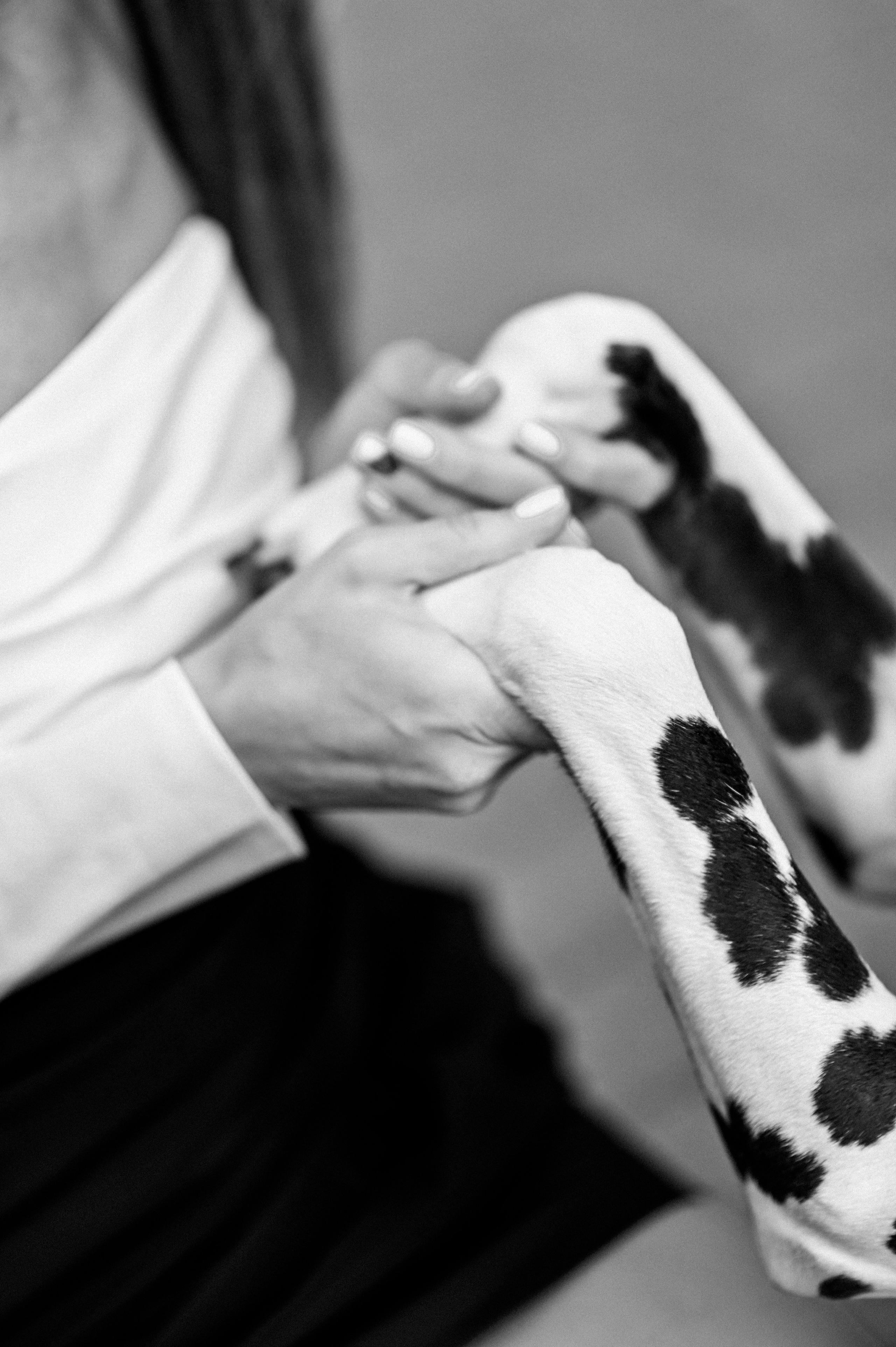 Прогулка с далматинцами. Детский и семейный фотограф в финляндии дина пулкка. контент фотограф