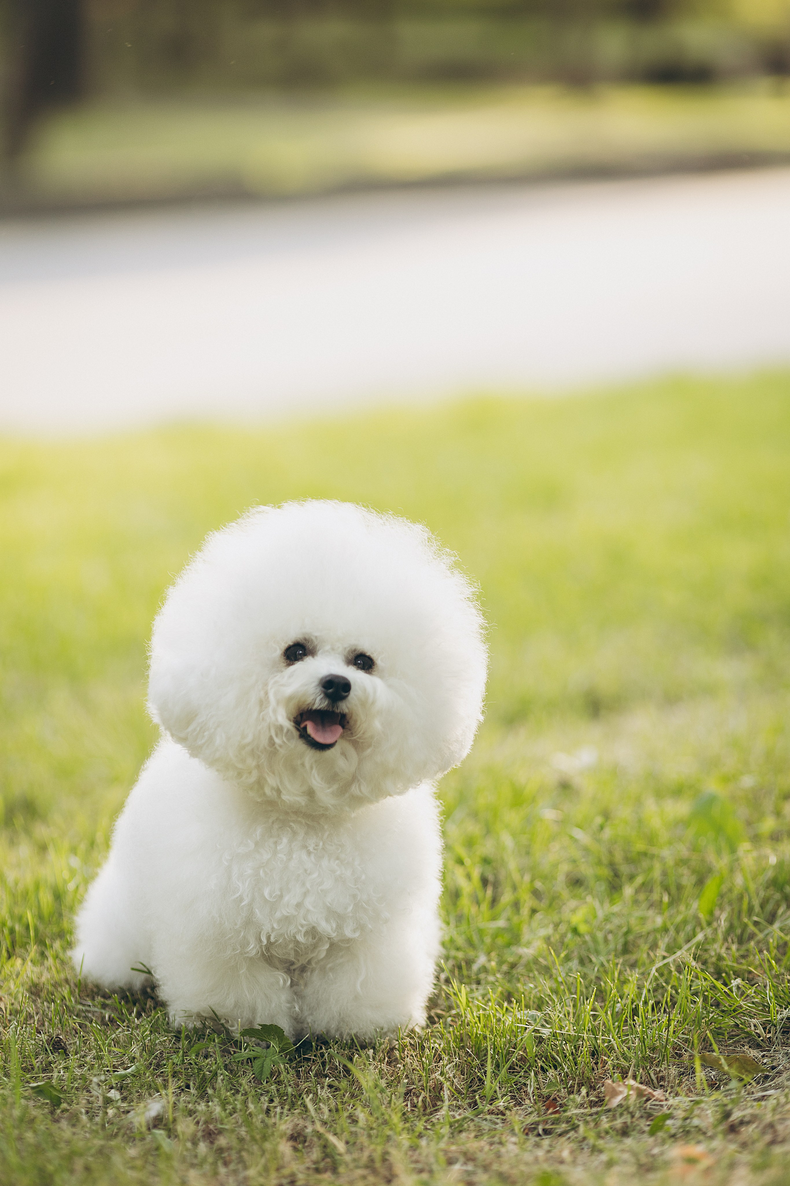 Sara. Семейный фотограф в Кишинёве Пулькина Ольга