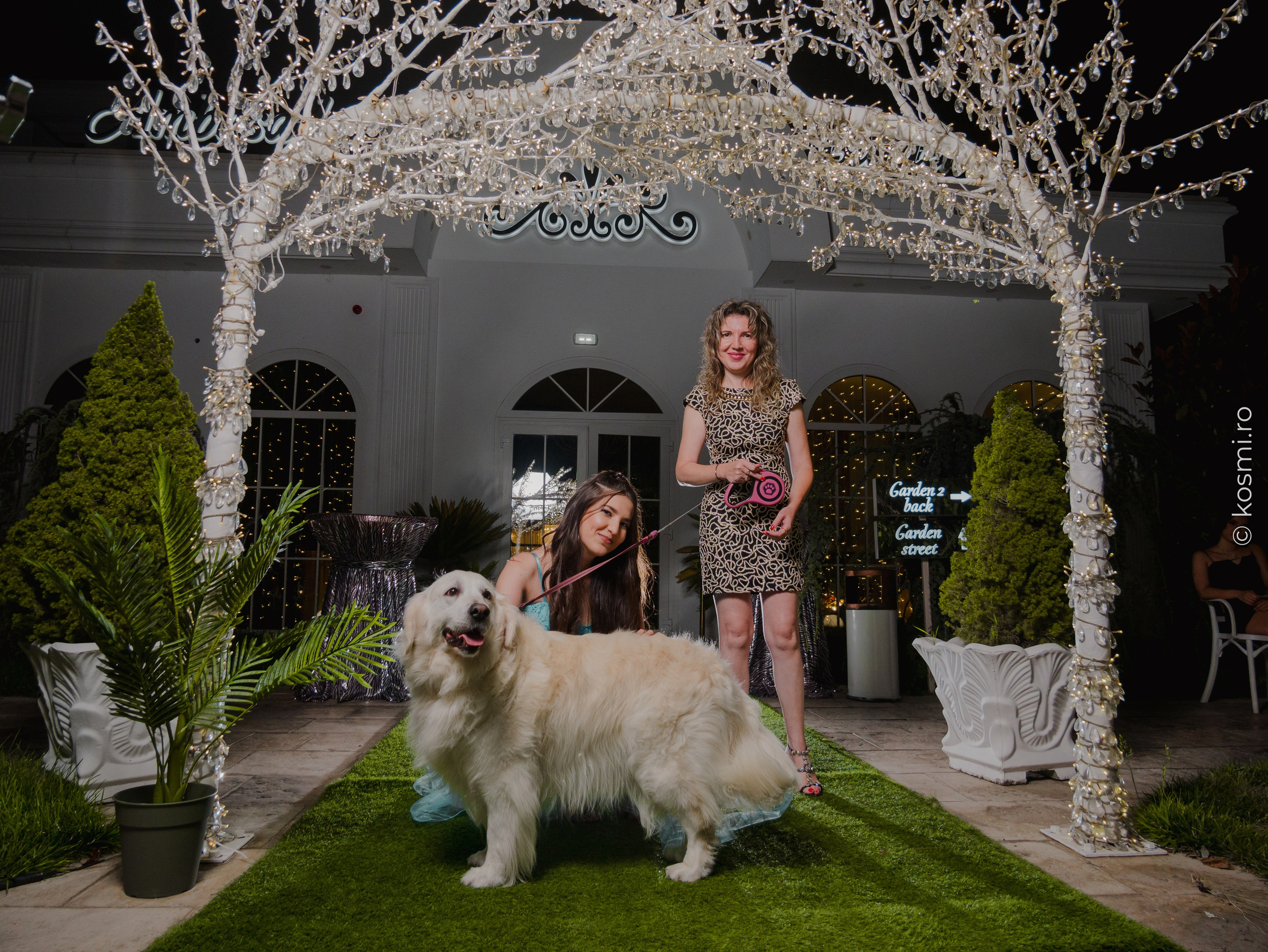 Majorat Alexandra. Kosmi