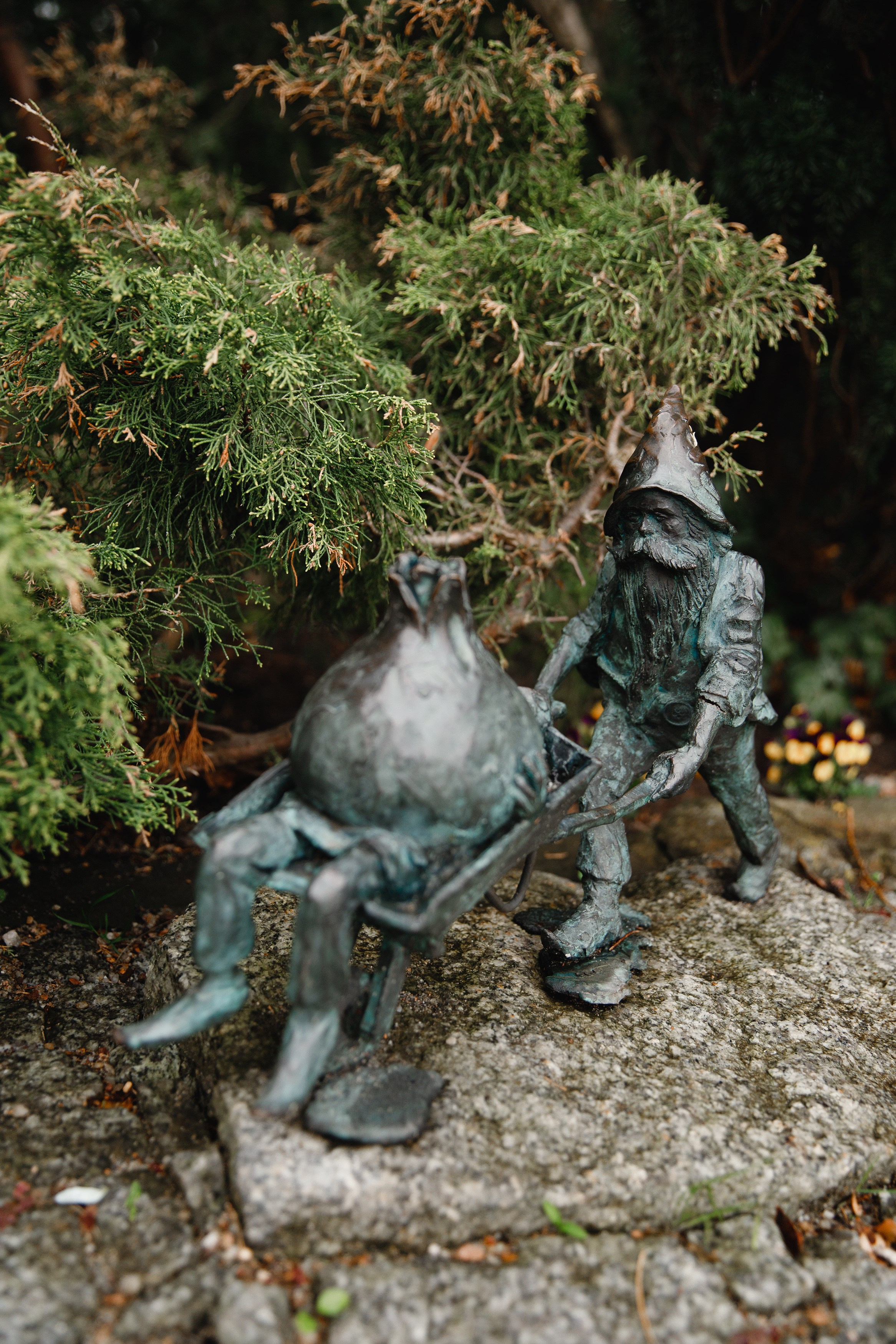 Botanical garden in Wroclaw. Kaja | fotograf we Wrocławiu | ludzie i psy