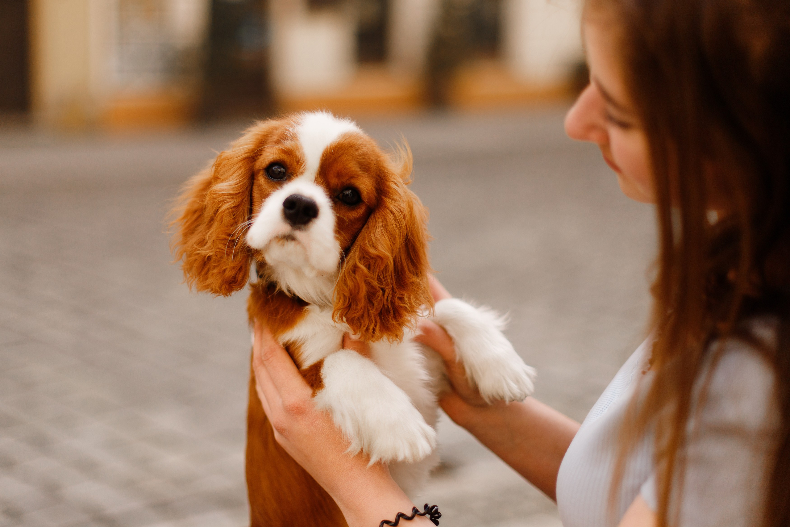 Uliana i Franklin. Kaja | fotograf we Wrocławiu | ludzie i psy