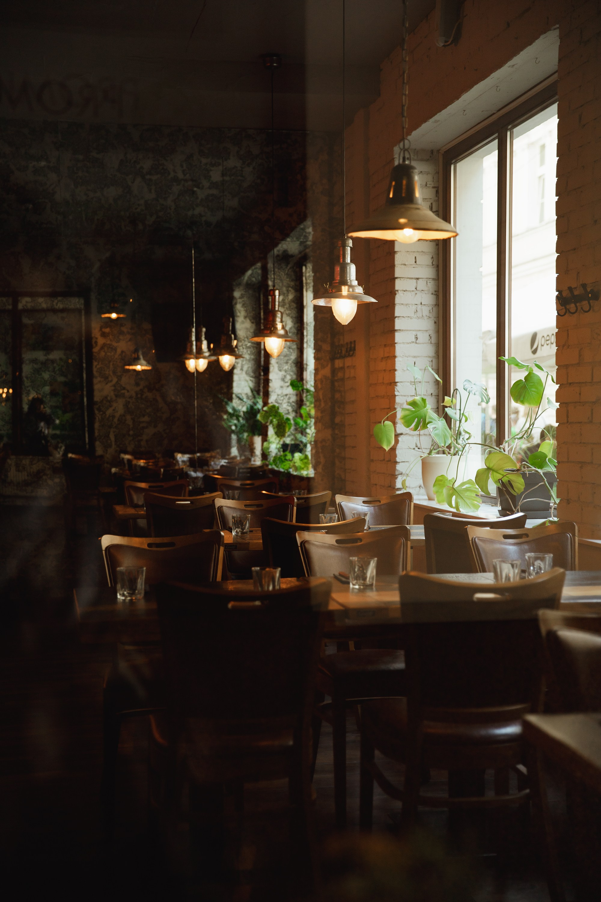 Wroclaw | the best ones. Kaja | fotograf psów we Wrocławiu