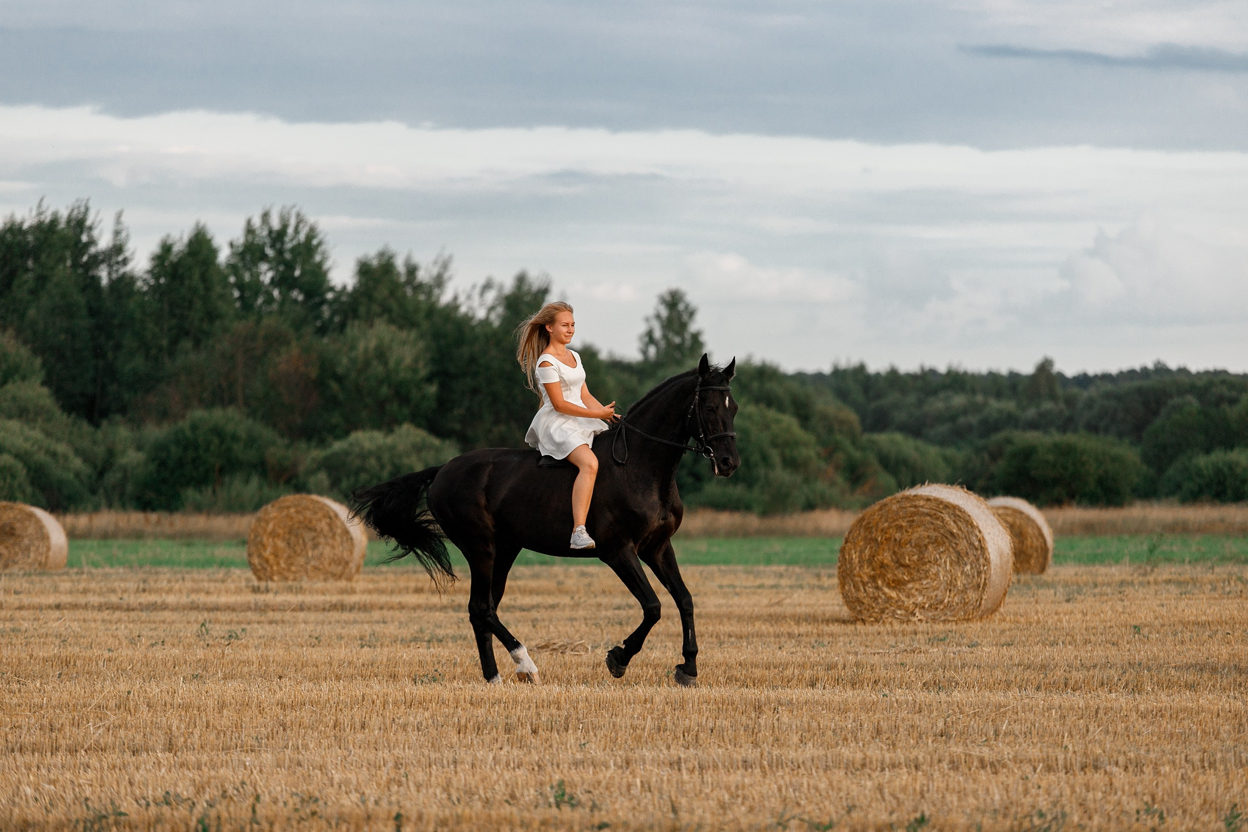 One sunset. Kaja | fotograf psów we Wrocławiu