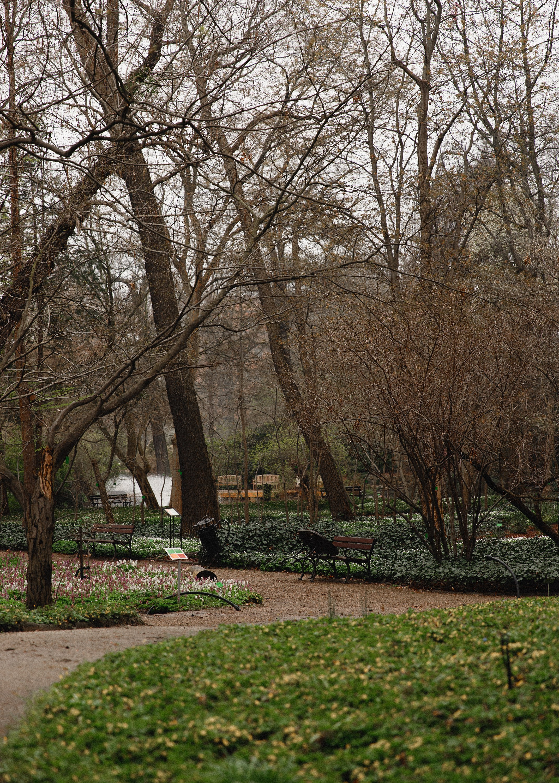 Botanical garden in Wroclaw. Kaja | fotograf we Wrocławiu | ludzie i psy
