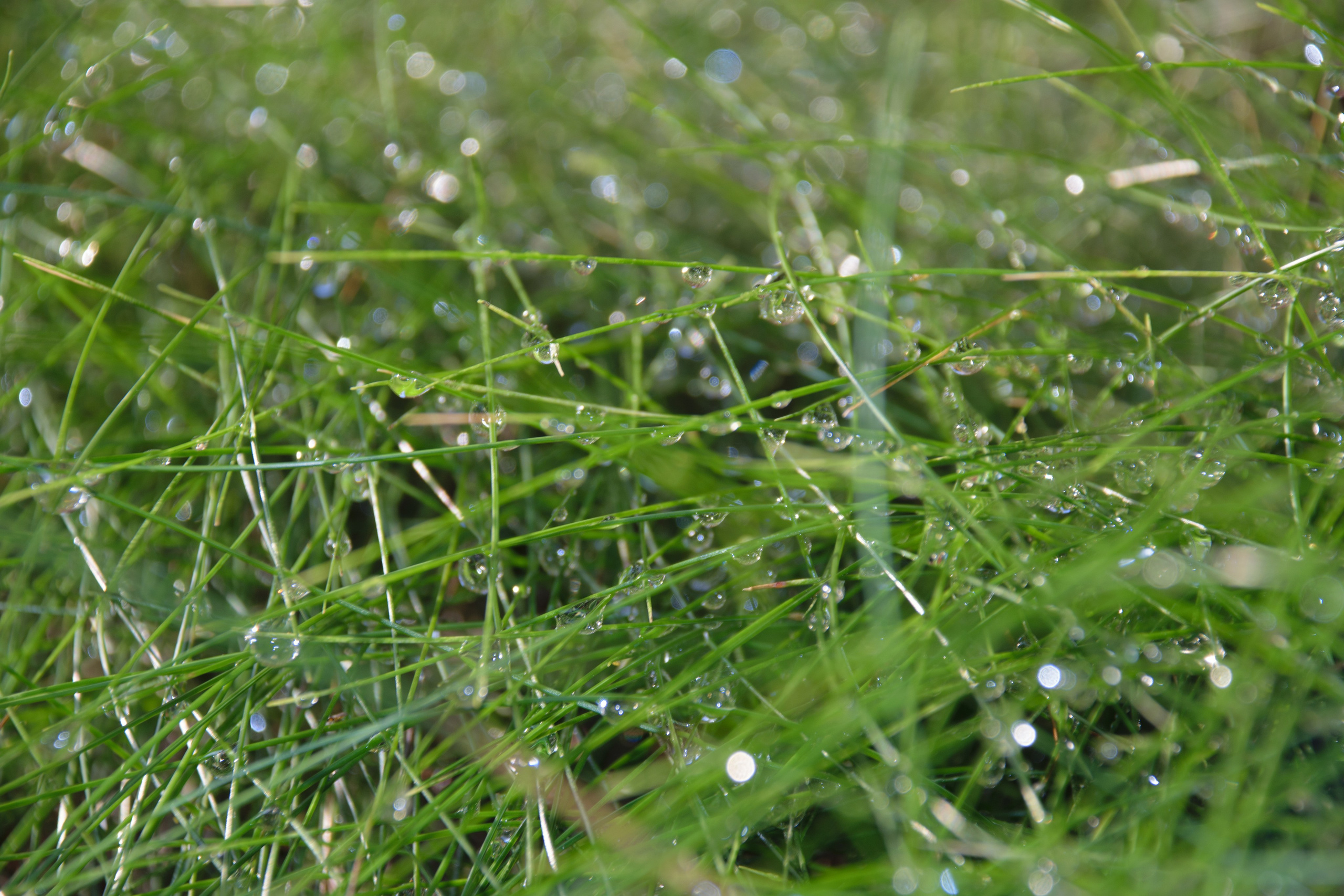 Portfolio. Photographer in Sotenäs municipality. Fotograf i Sotenäs kommun