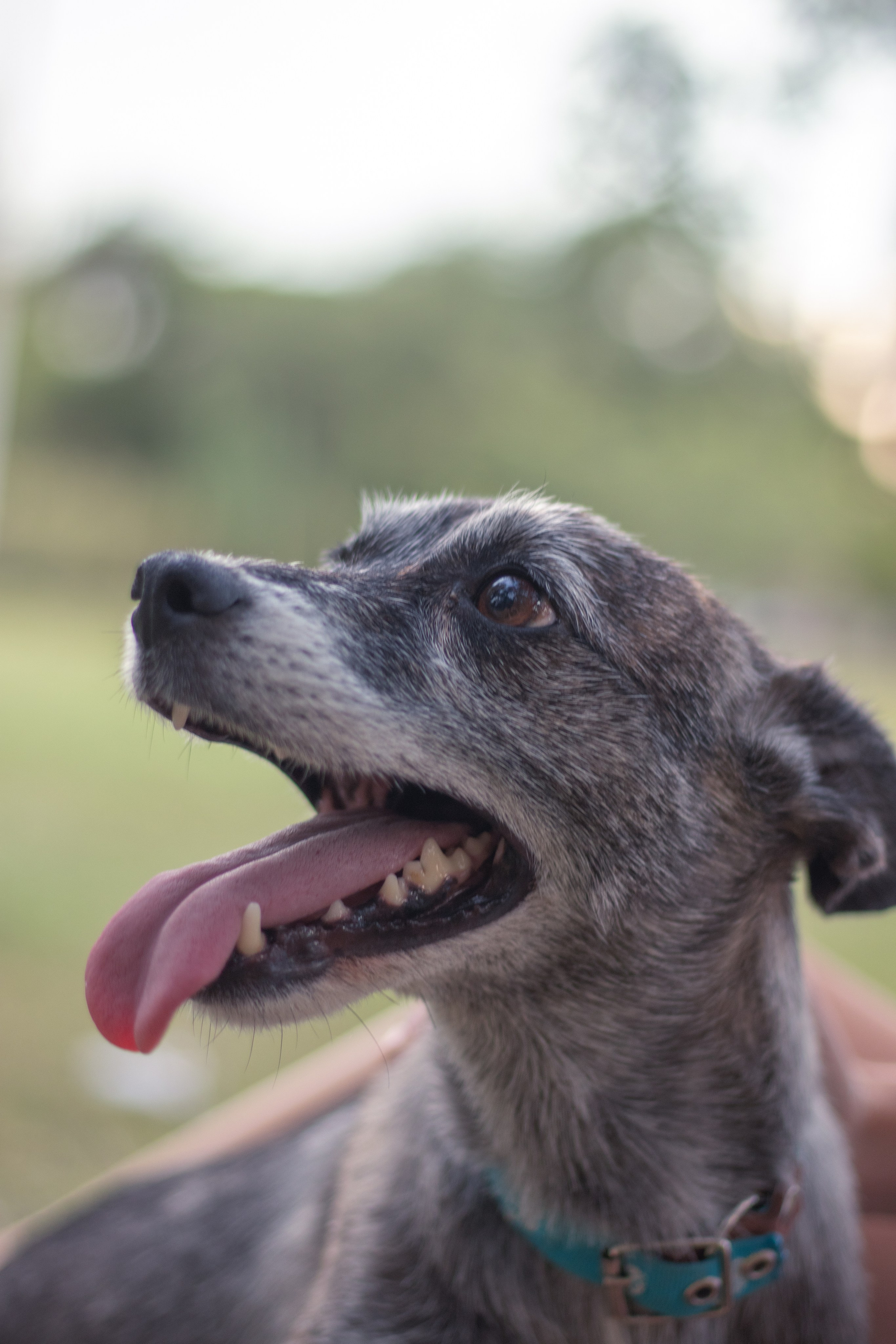 Maya & Pablo. Fotógrafo en Mendoza Alexander Safonov