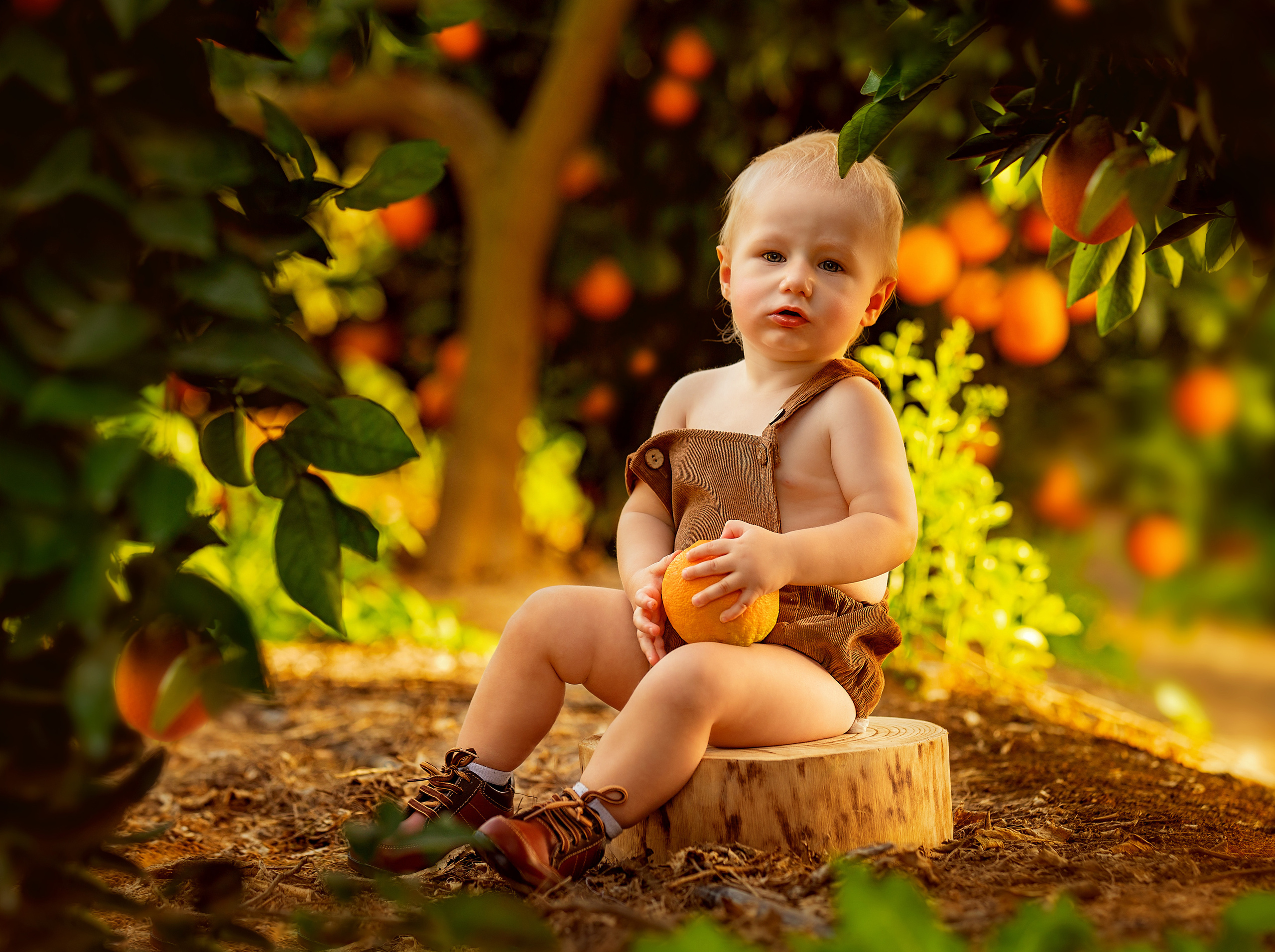 גיל שנה. דיאנה פרידמן-צלמת משפחה וילדים בישראל