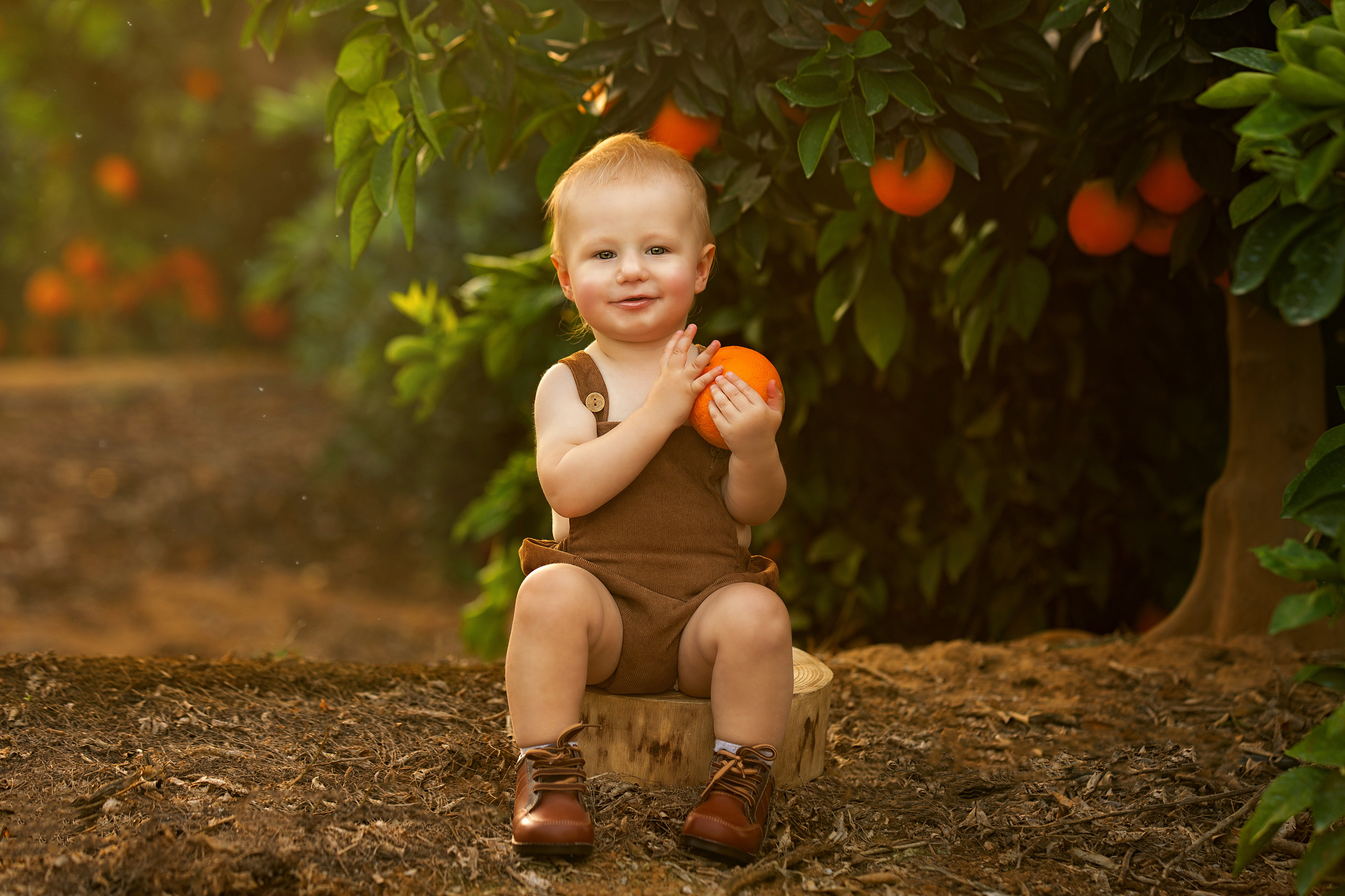 גיל שנה. דיאנה פרידמן-צלמת משפחה וילדים בישראל
