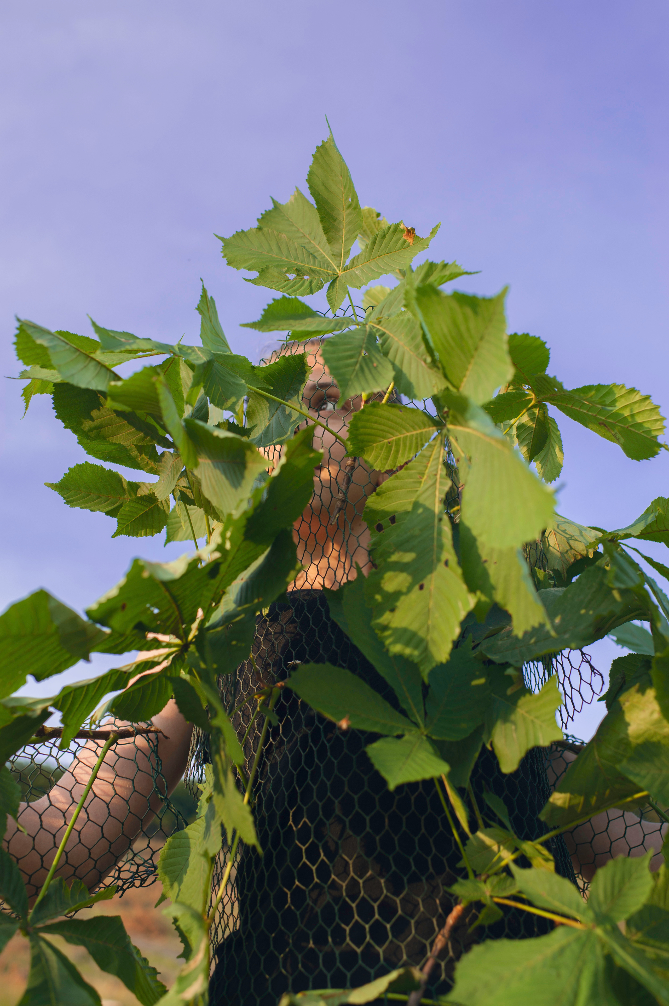 COMMUNITY OF TREES. Photographer and videographer in Norway and Slovakia Andrea Zemko