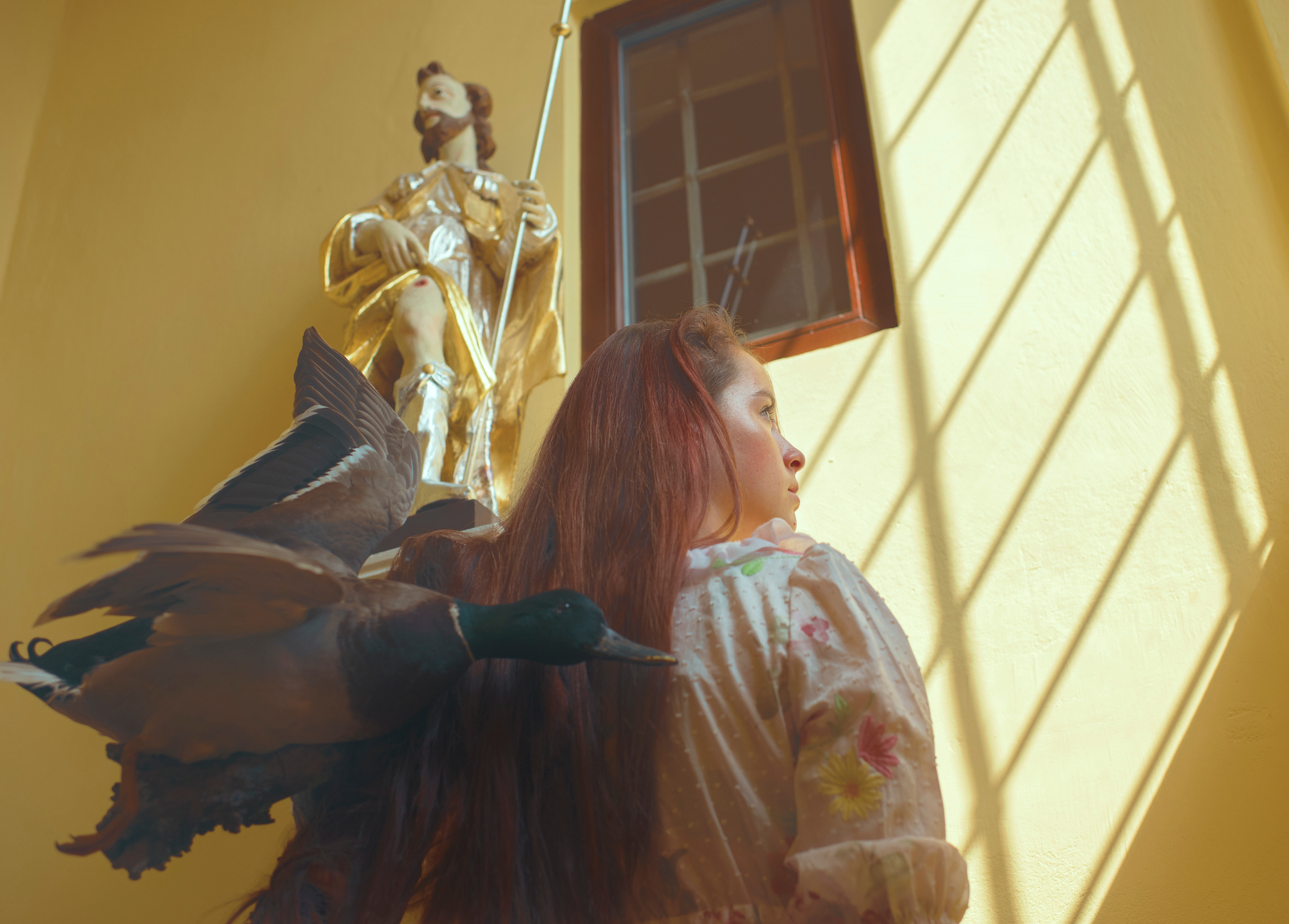 THE HOUSE. Photographer and videographer in Norway and Slovakia Andrea Zemko