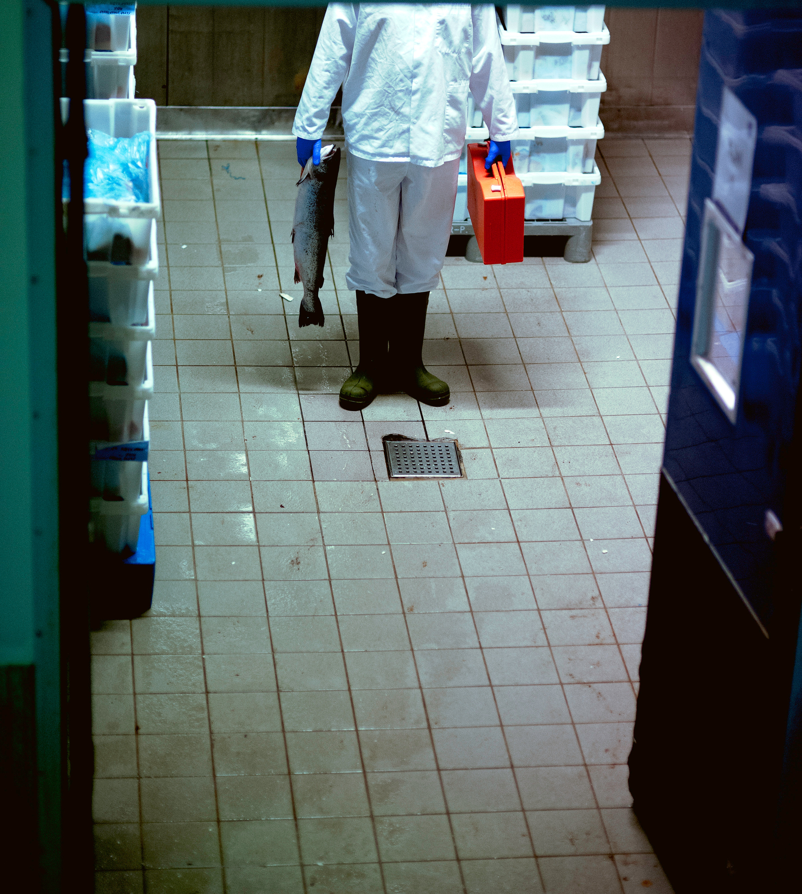 FREEK. Photographer and videographer in Norway and Slovakia Andrea Zemko