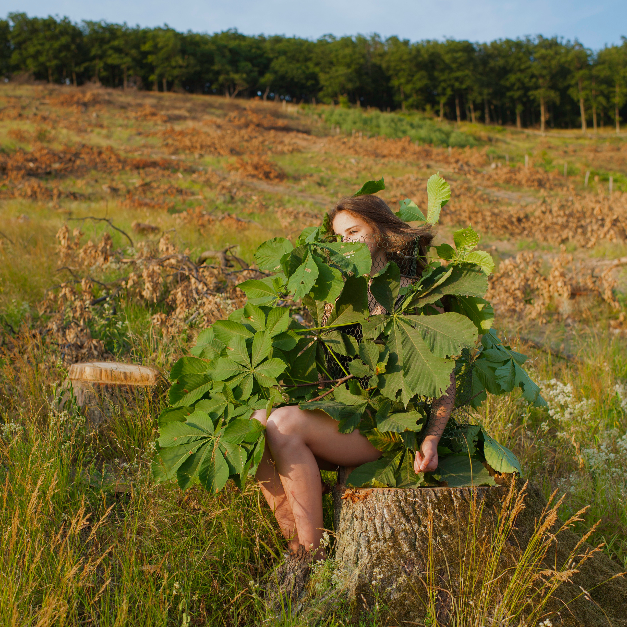 COMMUNITY OF TREES. Photographer and videographer in Norway and Slovakia Andrea Zemko