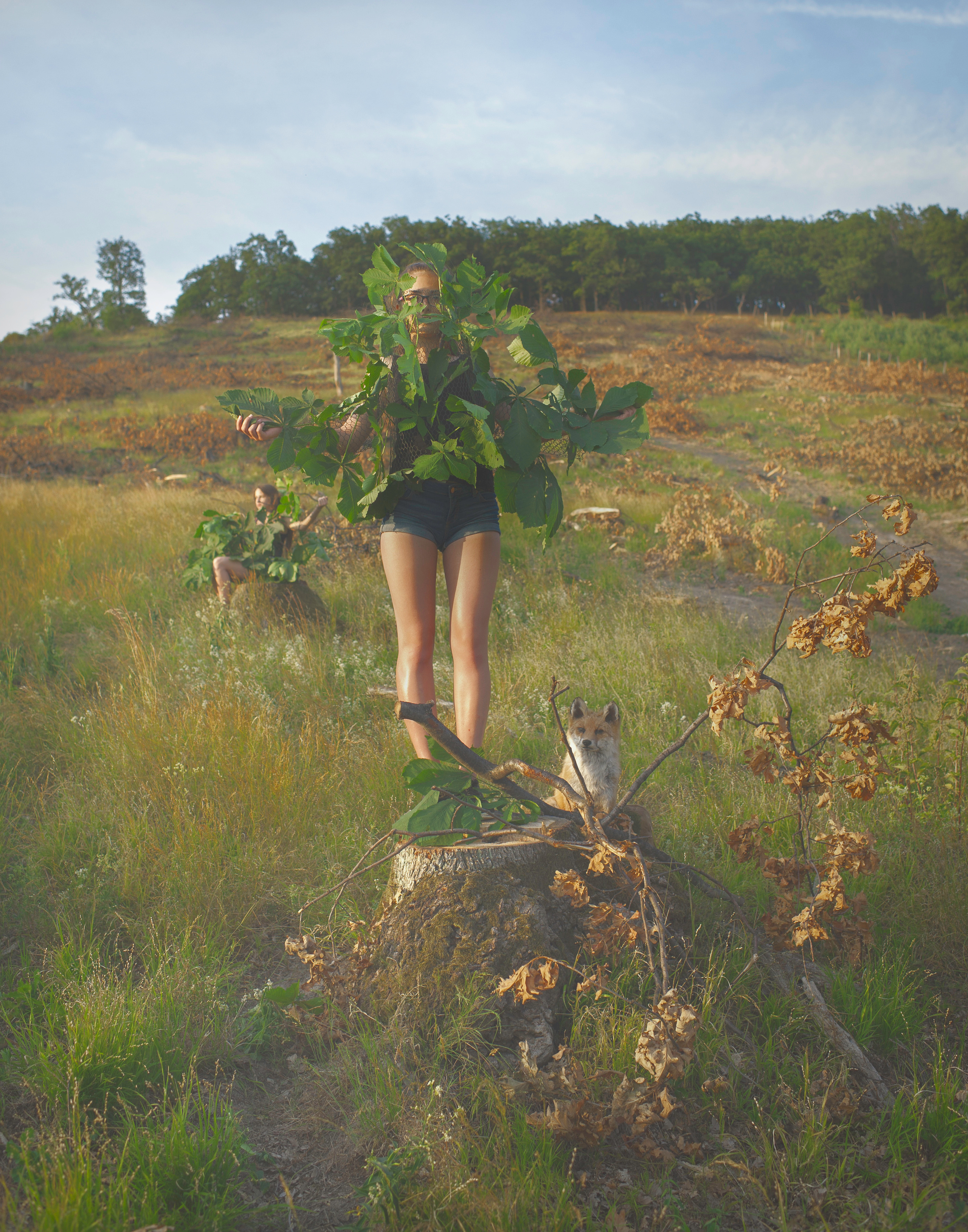 COMMUNITY OF TREES. Photographer and videographer in Norway and Slovakia Andrea Zemko