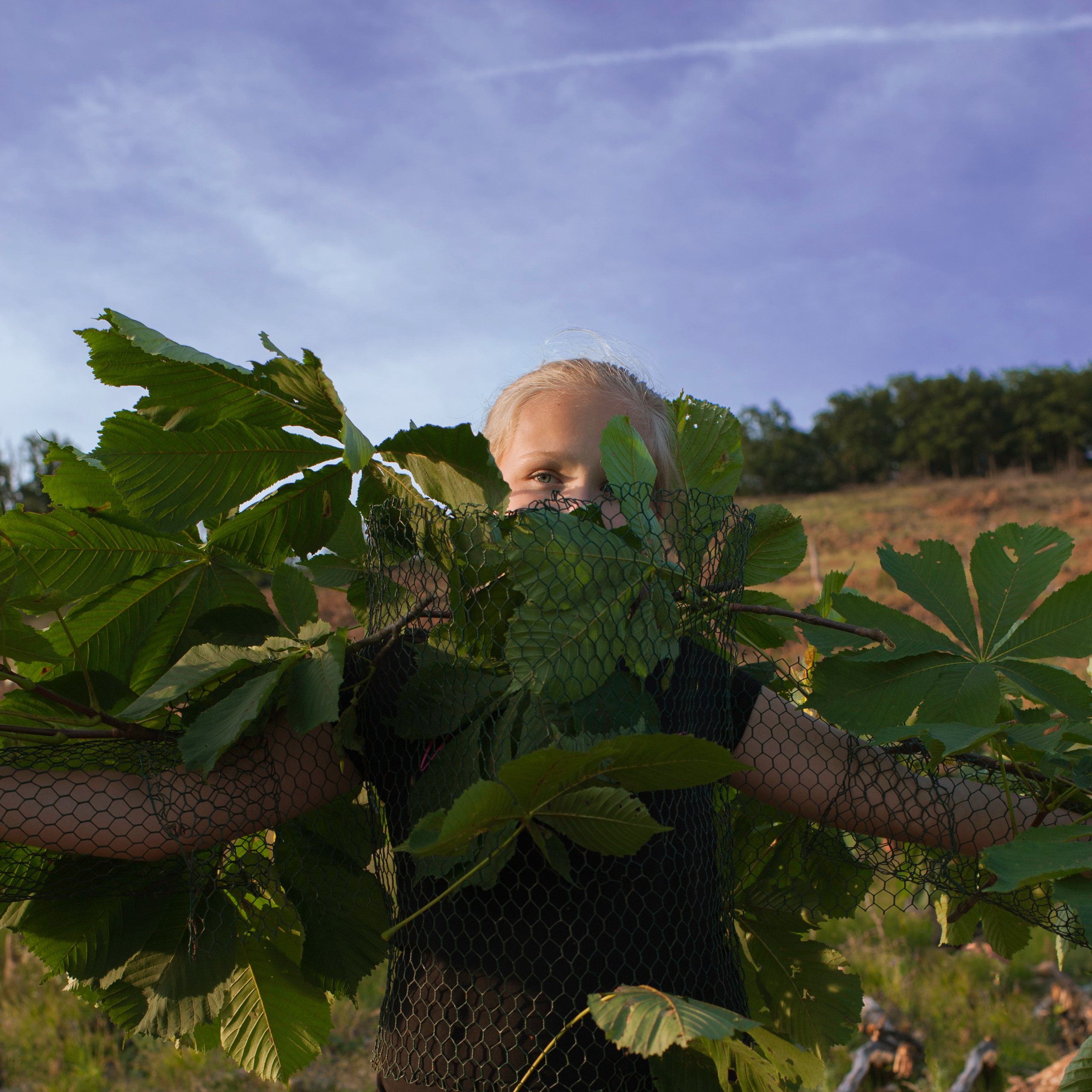 COMMUNITY OF TREES. Photographer and videographer in Norway and Slovakia Andrea Zemko