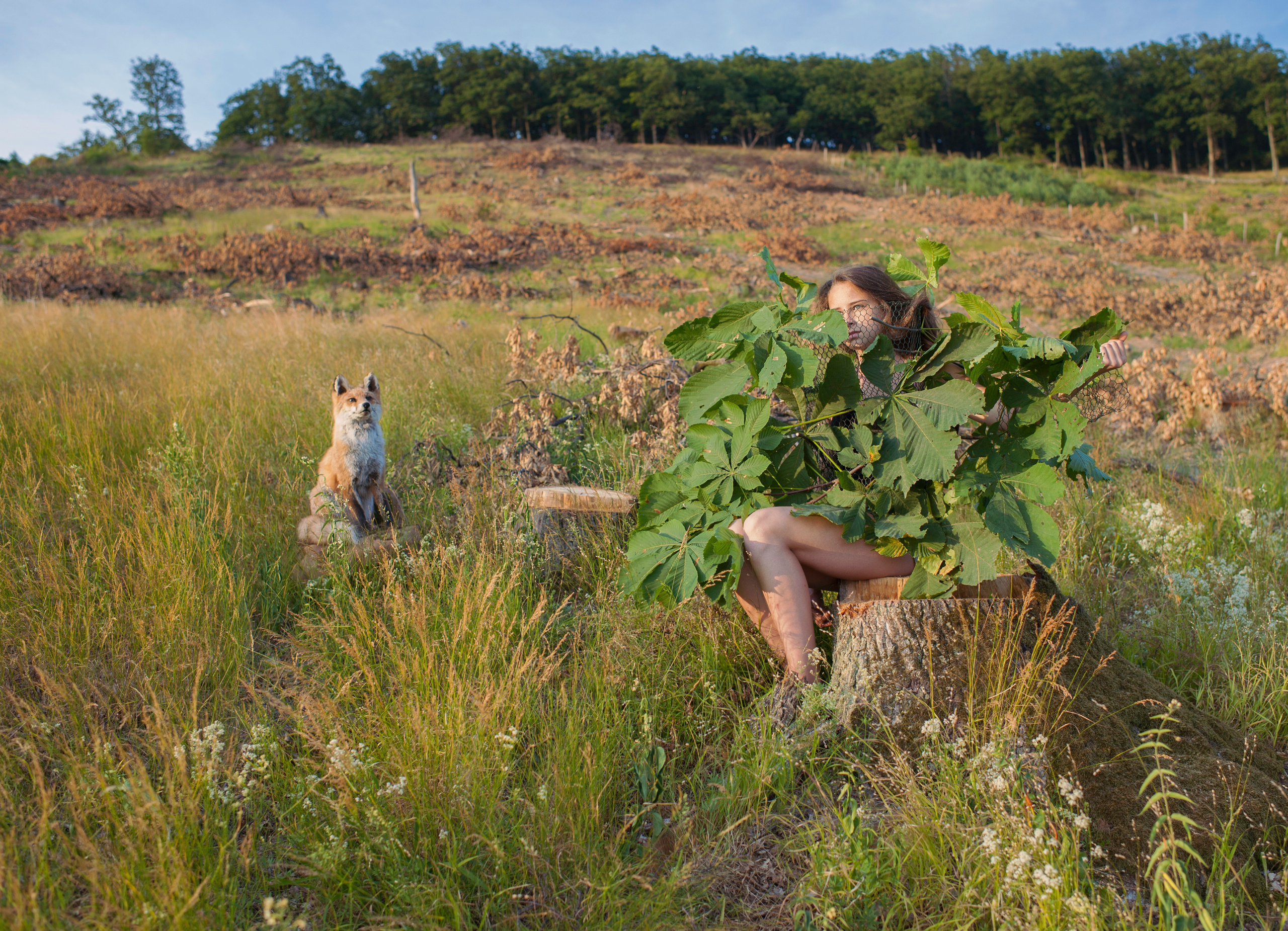 COMMUNITY OF TREES. Photographer and videographer in Norway and Slovakia Andrea Zemko