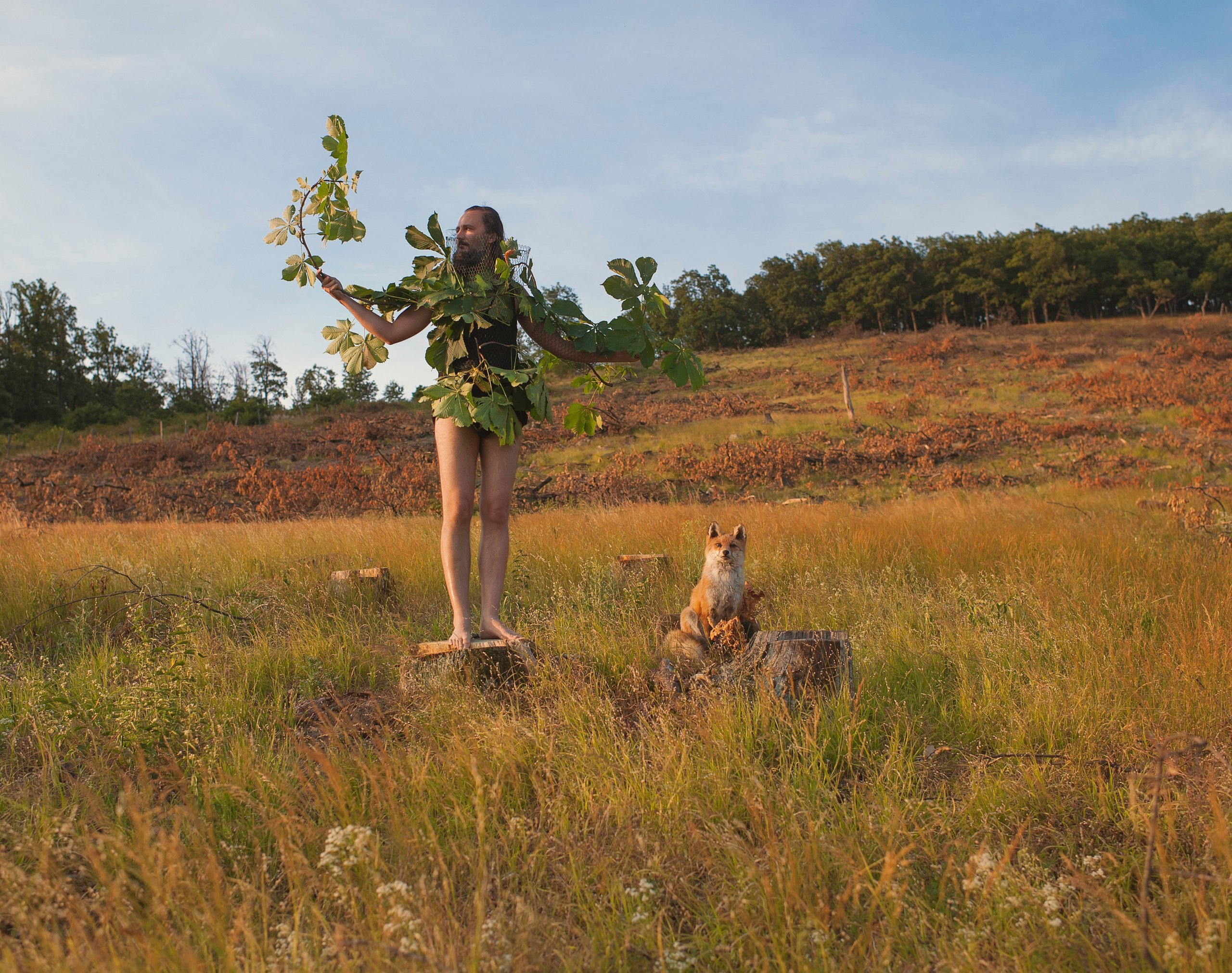 COMMUNITY OF TREES. Photographer and videographer in Norway and Slovakia Andrea Zemko