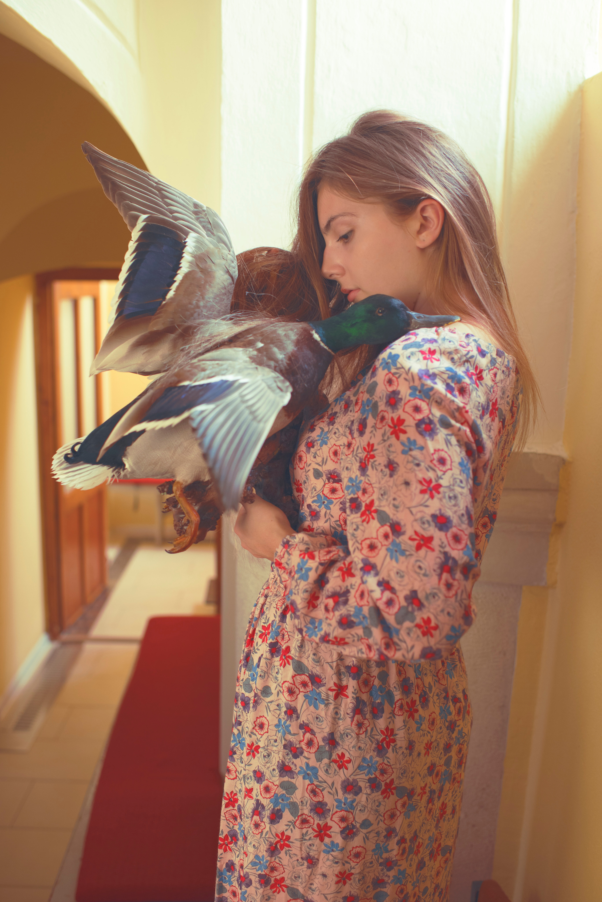 THE HOUSE. Photographer and videographer in Norway and Slovakia Andrea Zemko