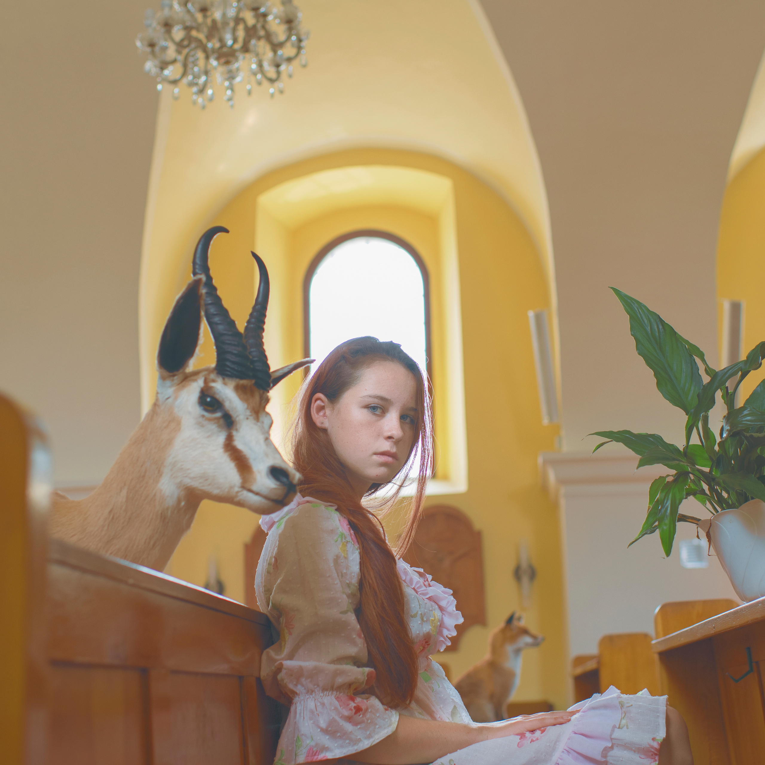 THE HOUSE. Photographer and videographer in Norway and Slovakia Andrea Zemko