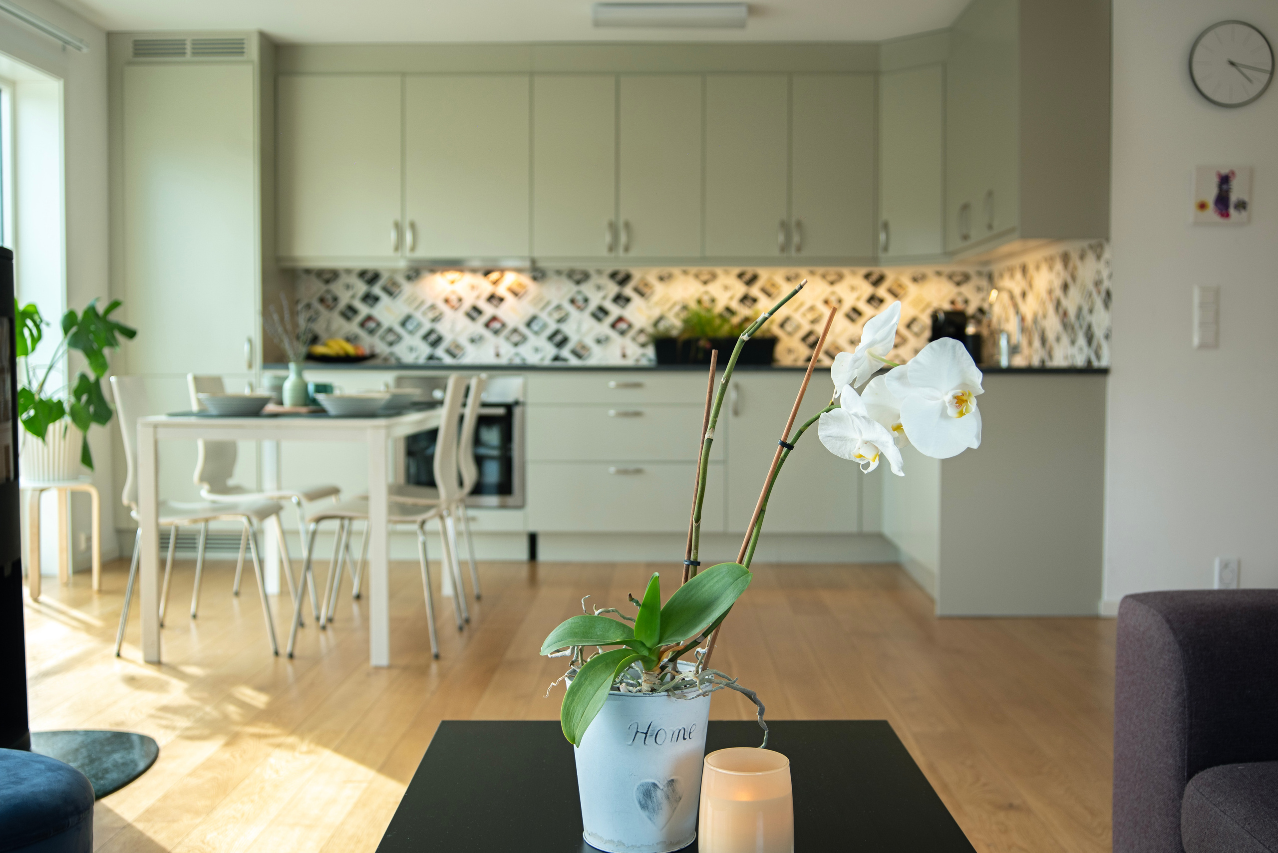 GJØLMESALLEN 52. Photographer and videographer in Norway and Slovakia Andrea Zemko