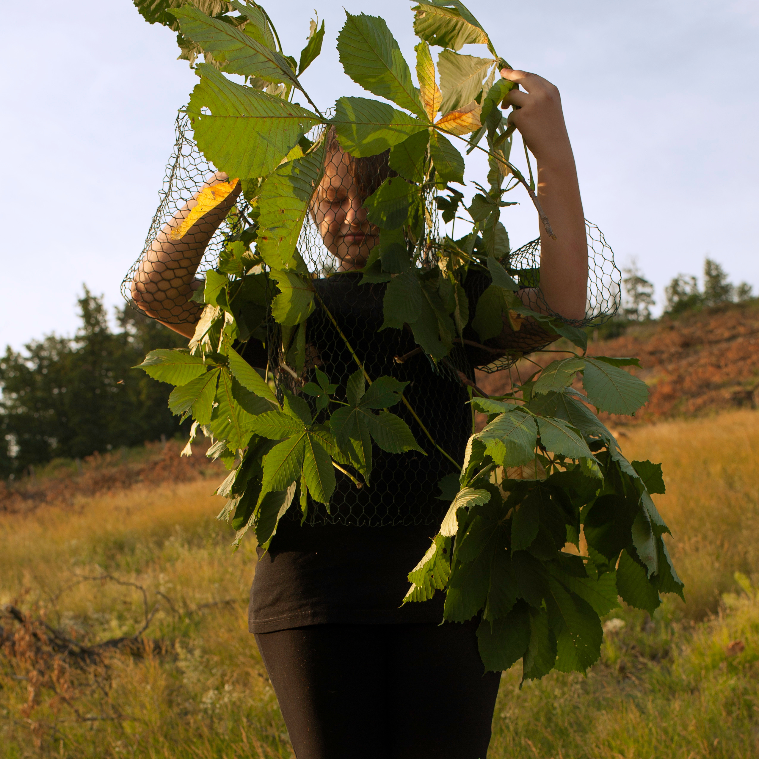 COMMUNITY OF TREES. Photographer and videographer in Norway and Slovakia Andrea Zemko