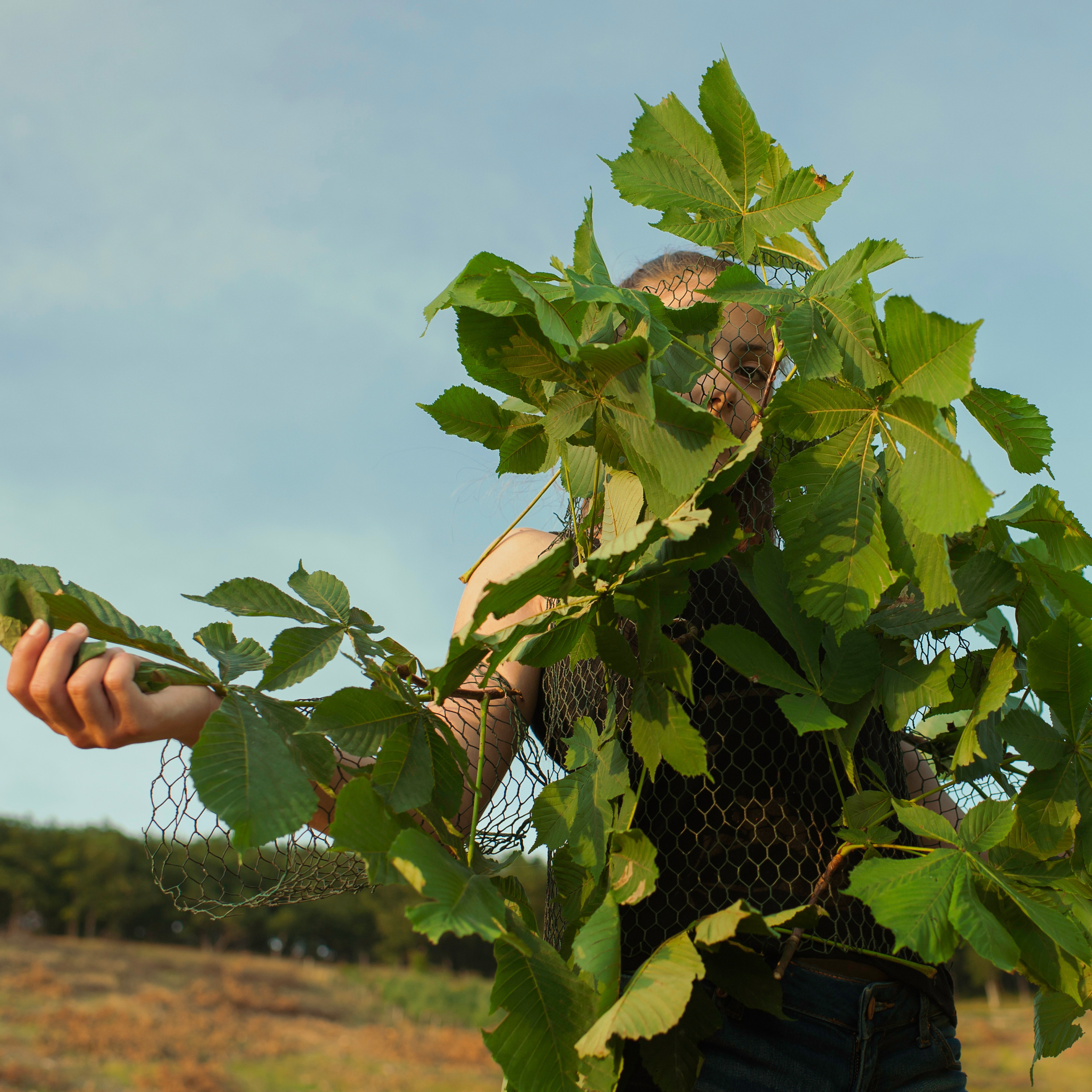 COMMUNITY OF TREES. Photographer and videographer in Norway and Slovakia Andrea Zemko