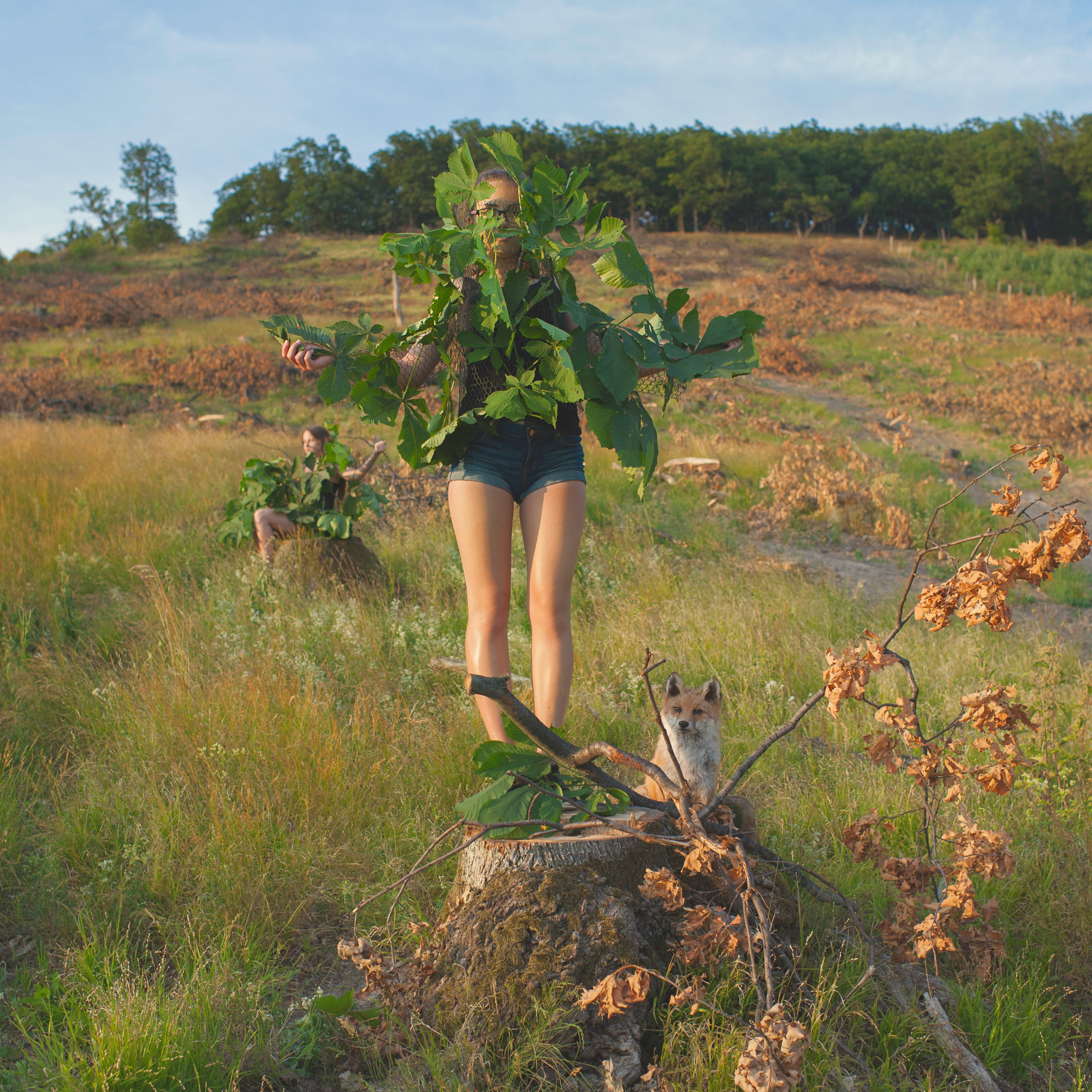 COMMUNITY OF TREES. Photographer and videographer in Norway and Slovakia Andrea Zemko