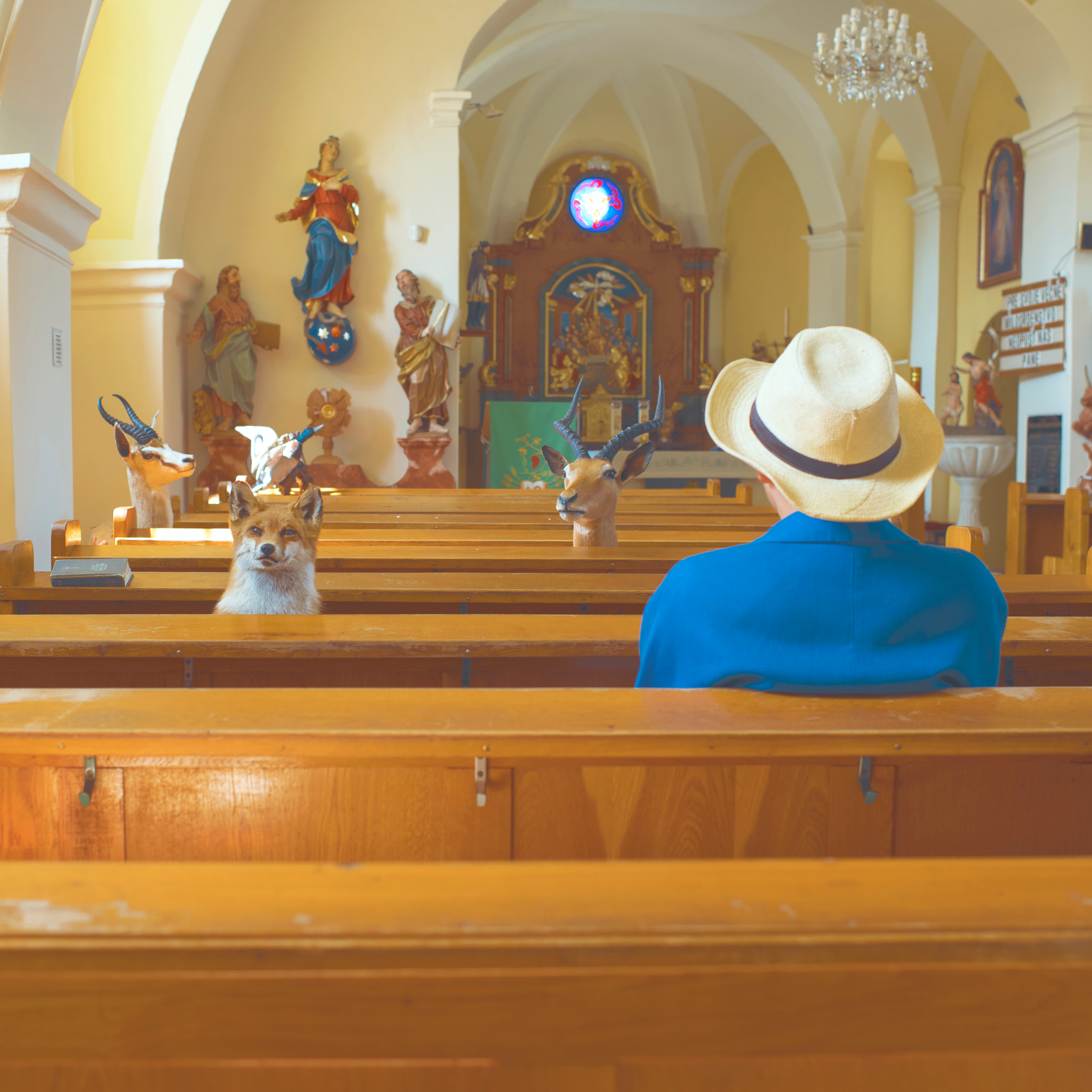 THE HOUSE. Photographer and videographer in Norway and Slovakia Andrea Zemko