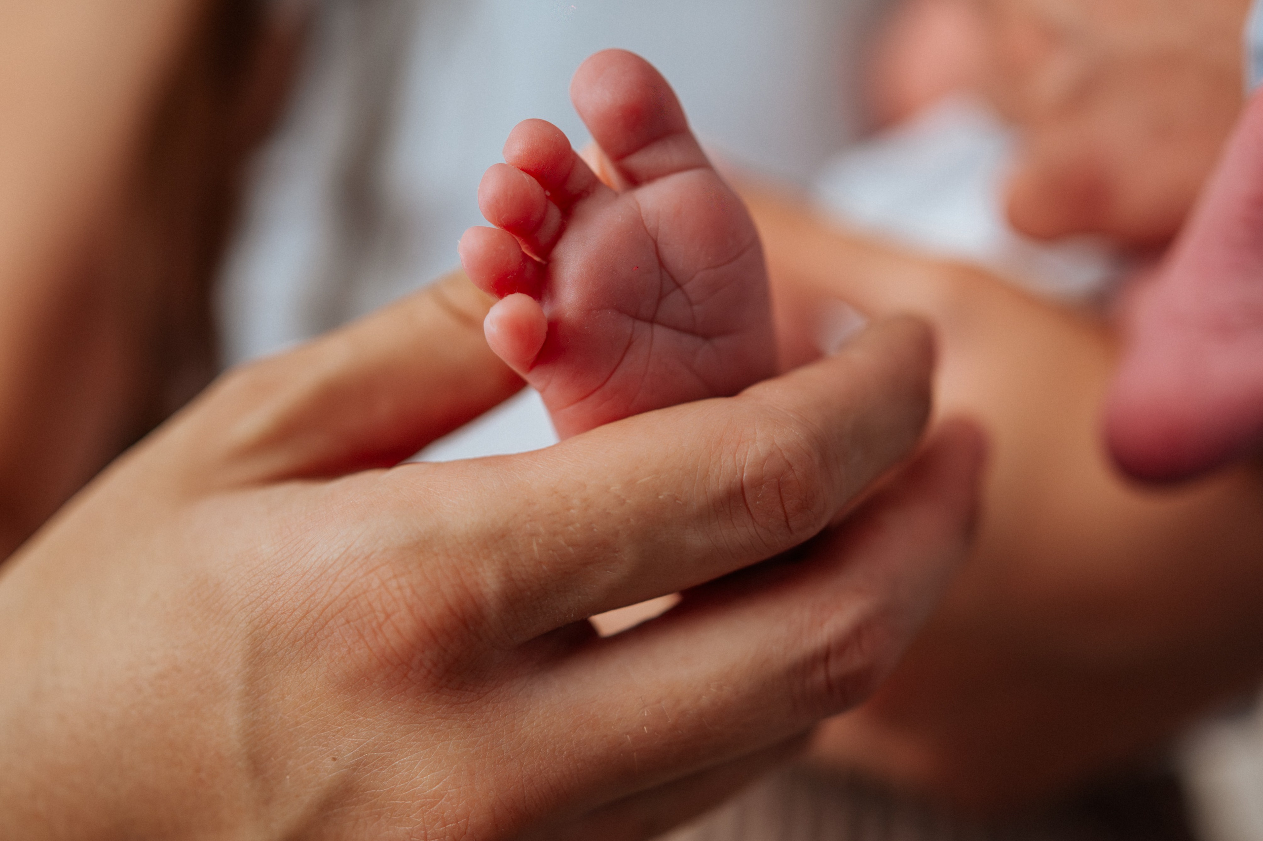 Balša - fotografisanje bebe kod kuće. Dečiji i porodični fotograf