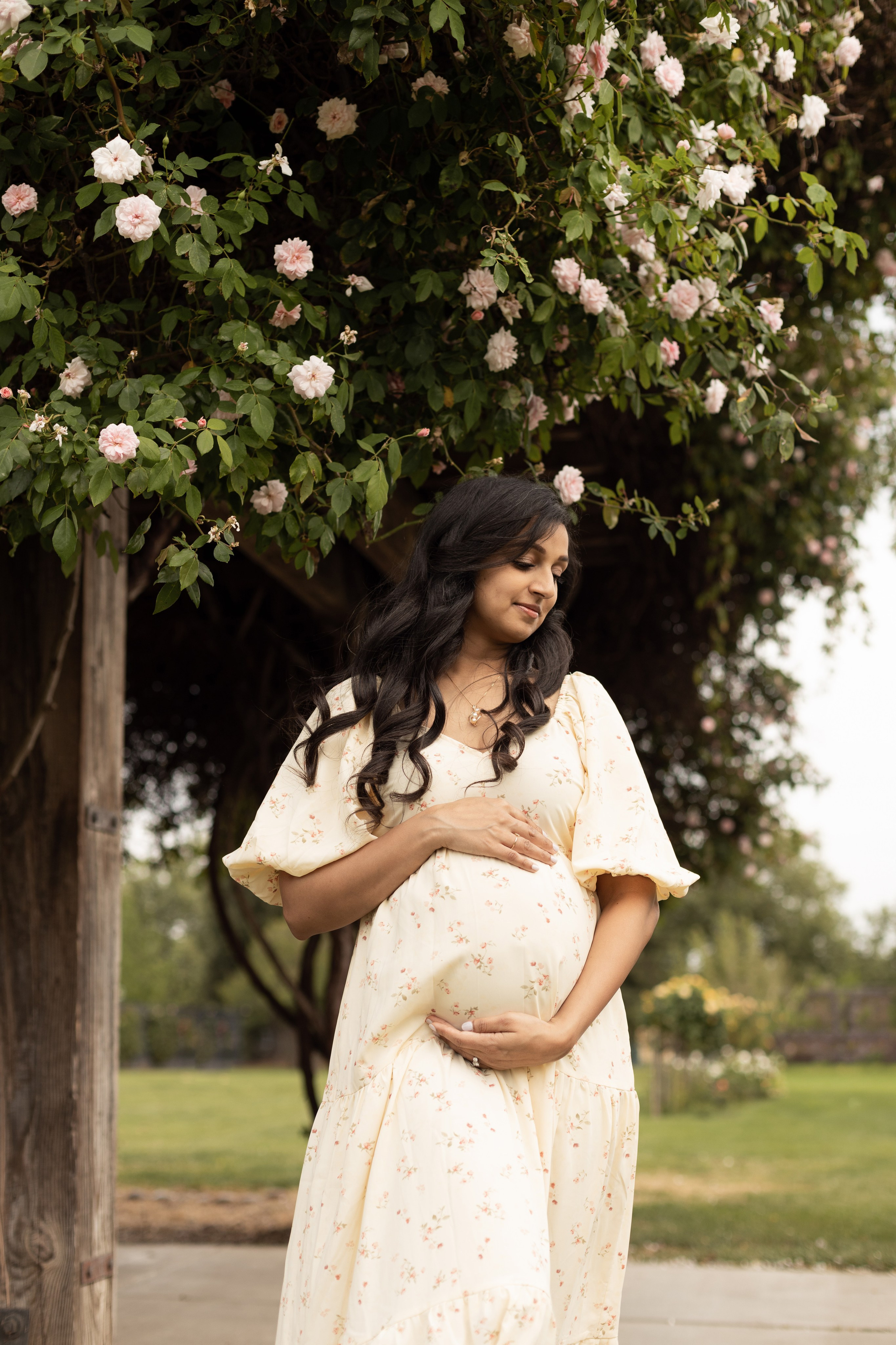 Maternity and Pregnancy. Family photographer in Bay Area, California