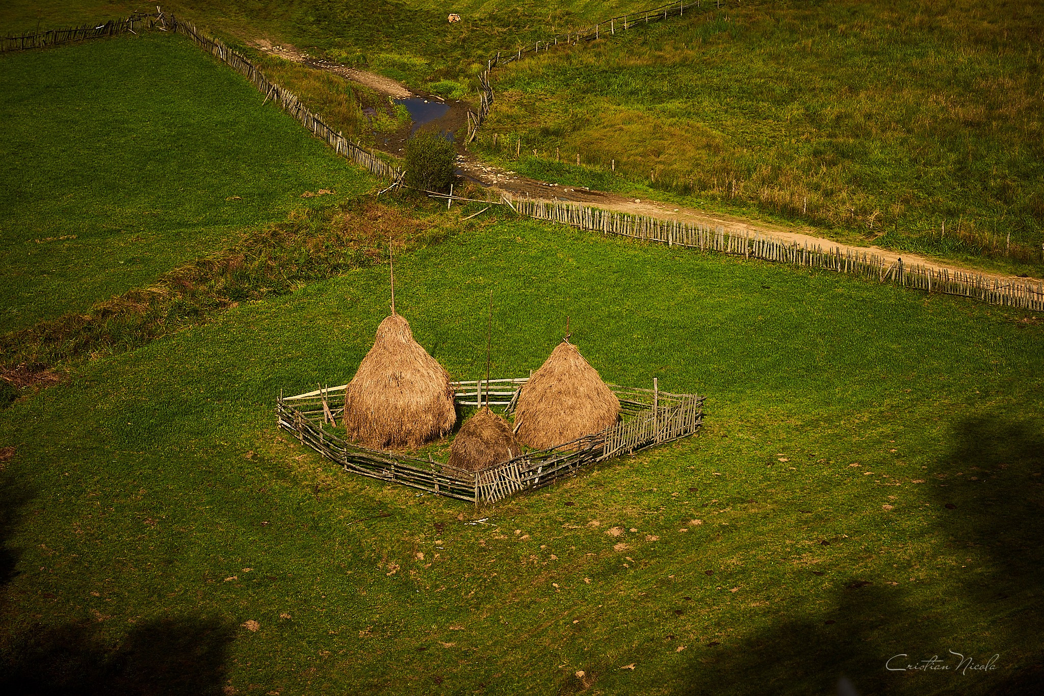 Fundătura Ponorului, jud. Humedoara. Pagina principală