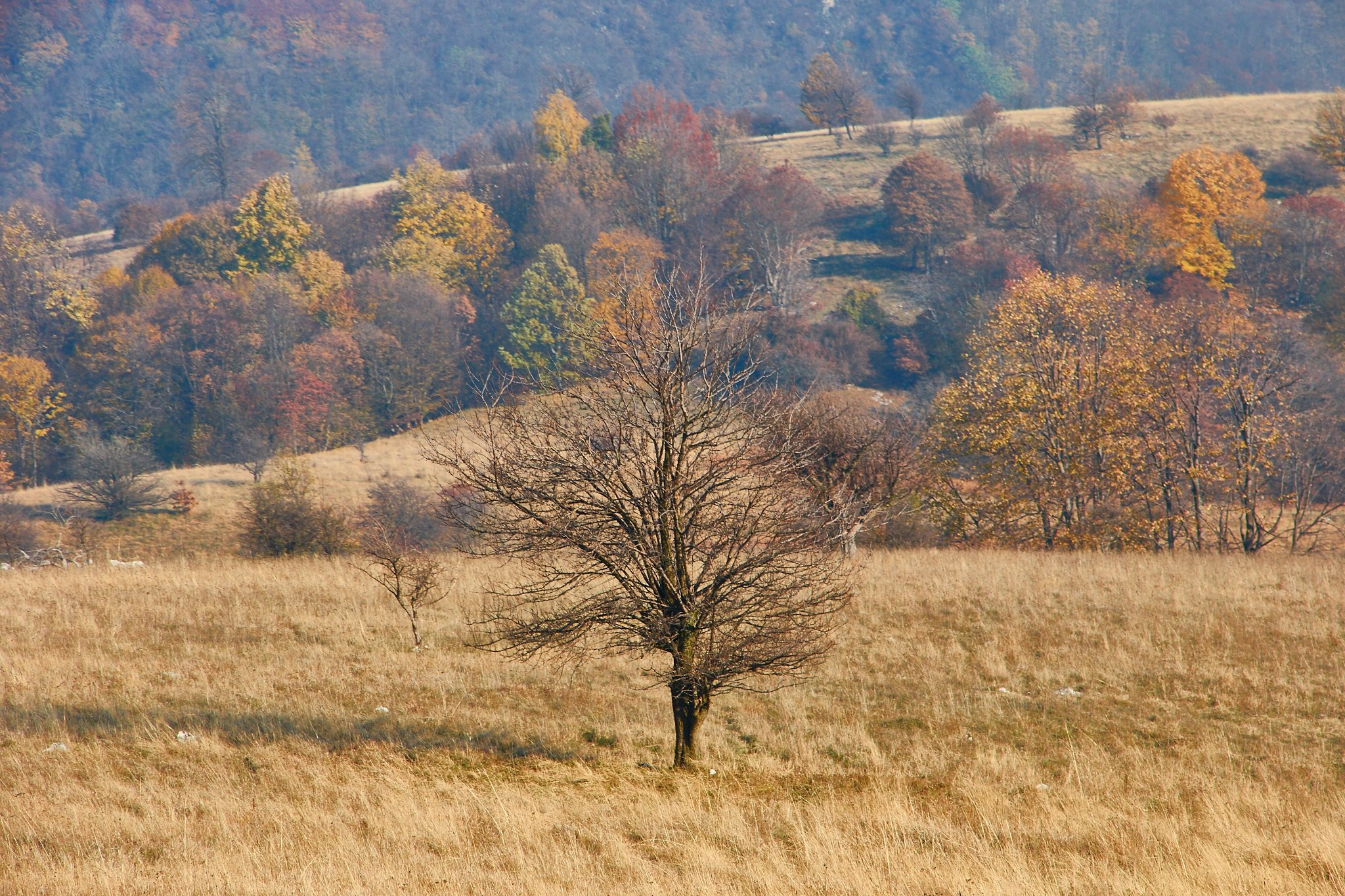 Toamna pe calea ferată Oravița-Anina, jud. Caraș-Severin. Pagina principală