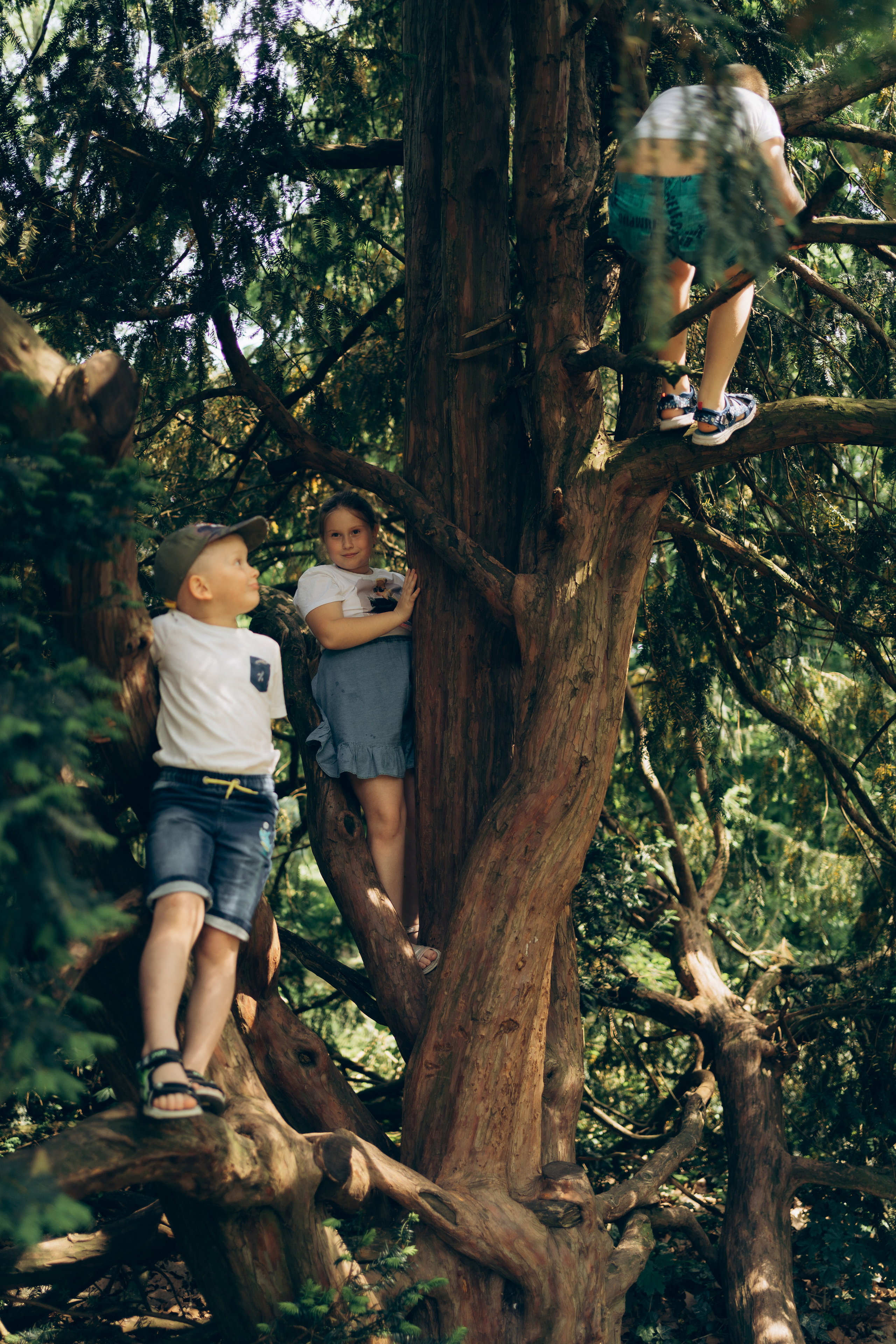 FAMILY KAJAN. Photographer and videographer in Norway and Slovakia Andrea Zemko