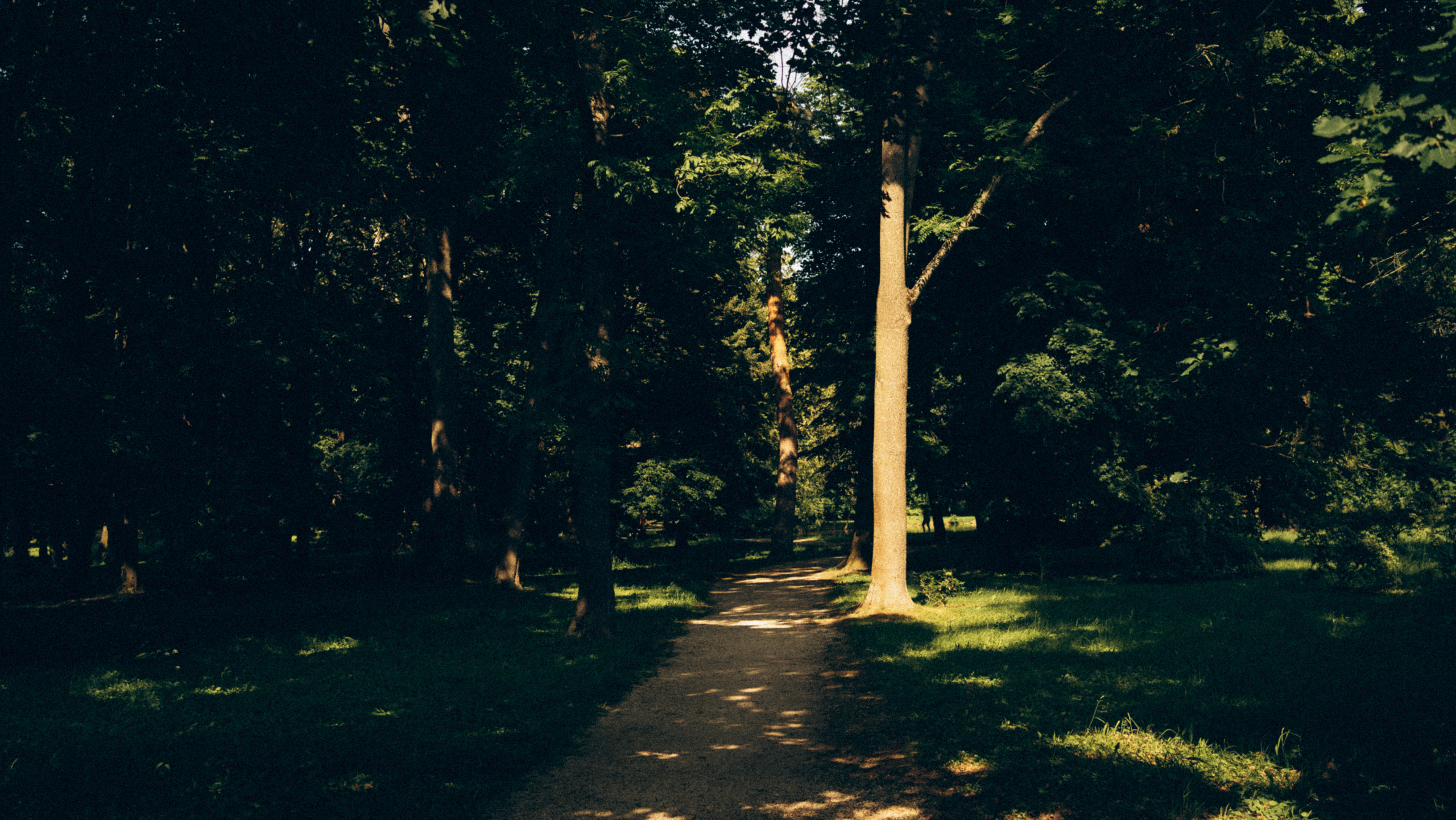 FAMILY MAZAN. Photographer and videographer in Norway and Slovakia Andrea Zemko