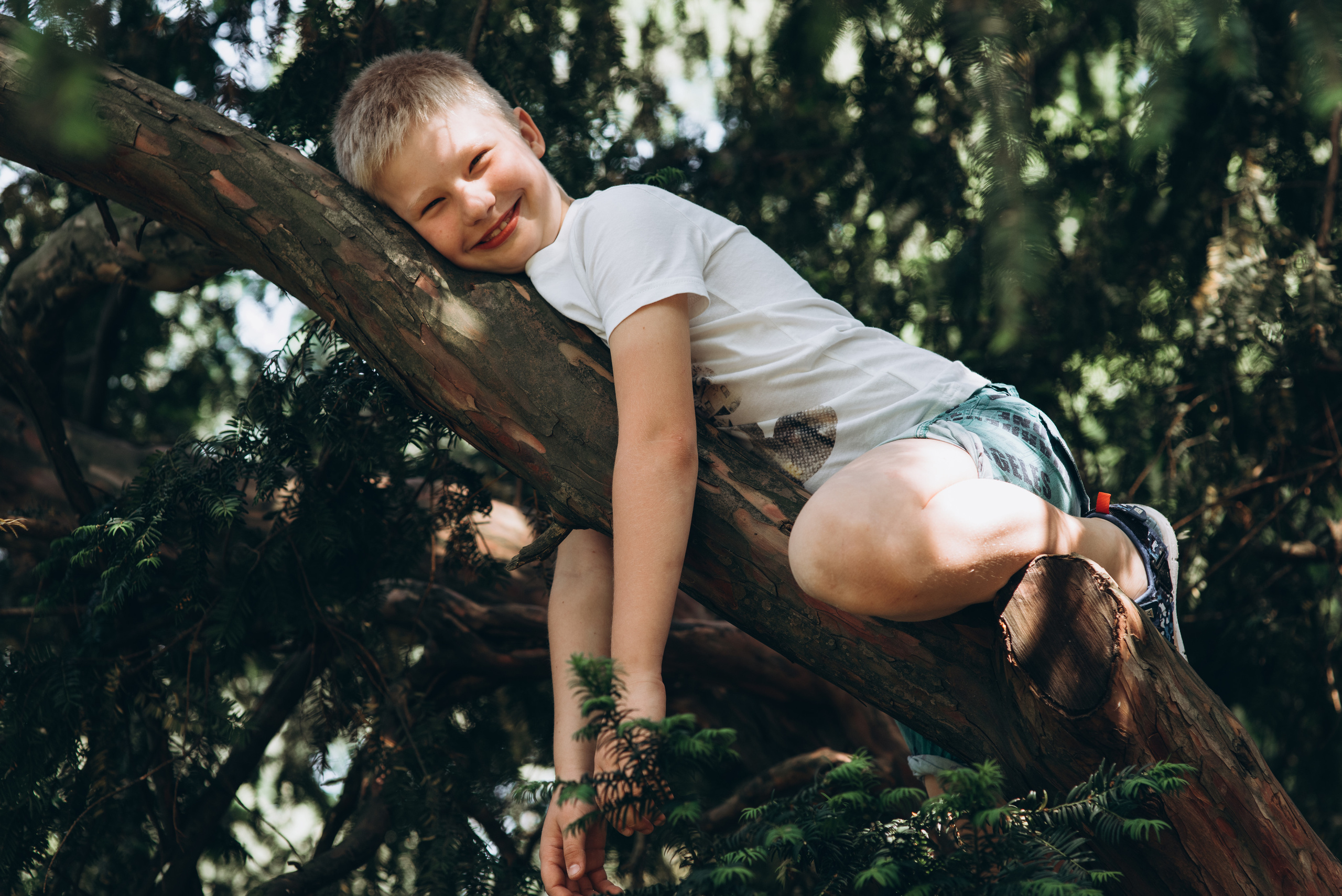 FAMILY MAZAN. Photographer and videographer in Norway and Slovakia Andrea Zemko