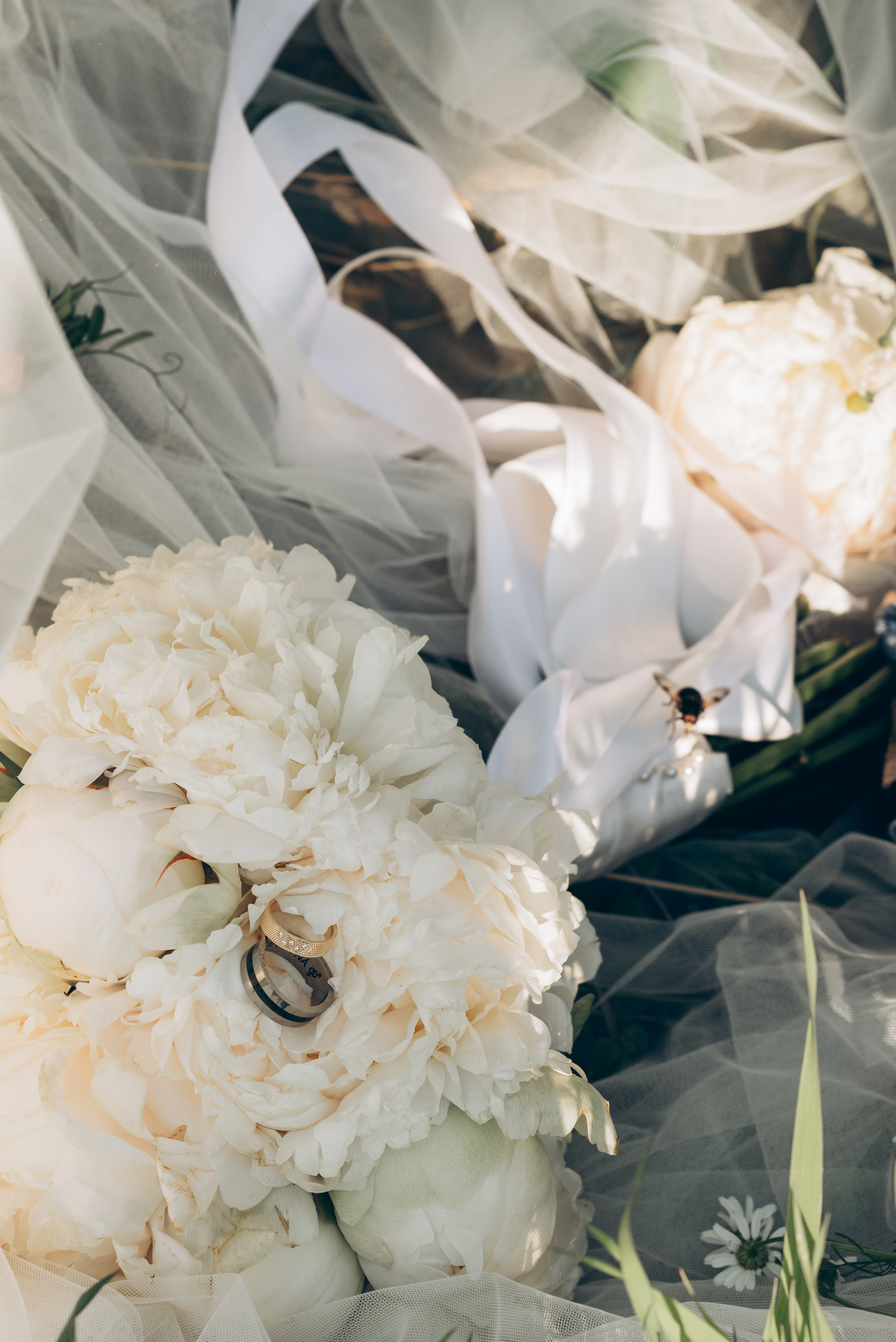 BARBORA & JAN. Photographer and videographer in Norway and Slovakia Andrea Zemko