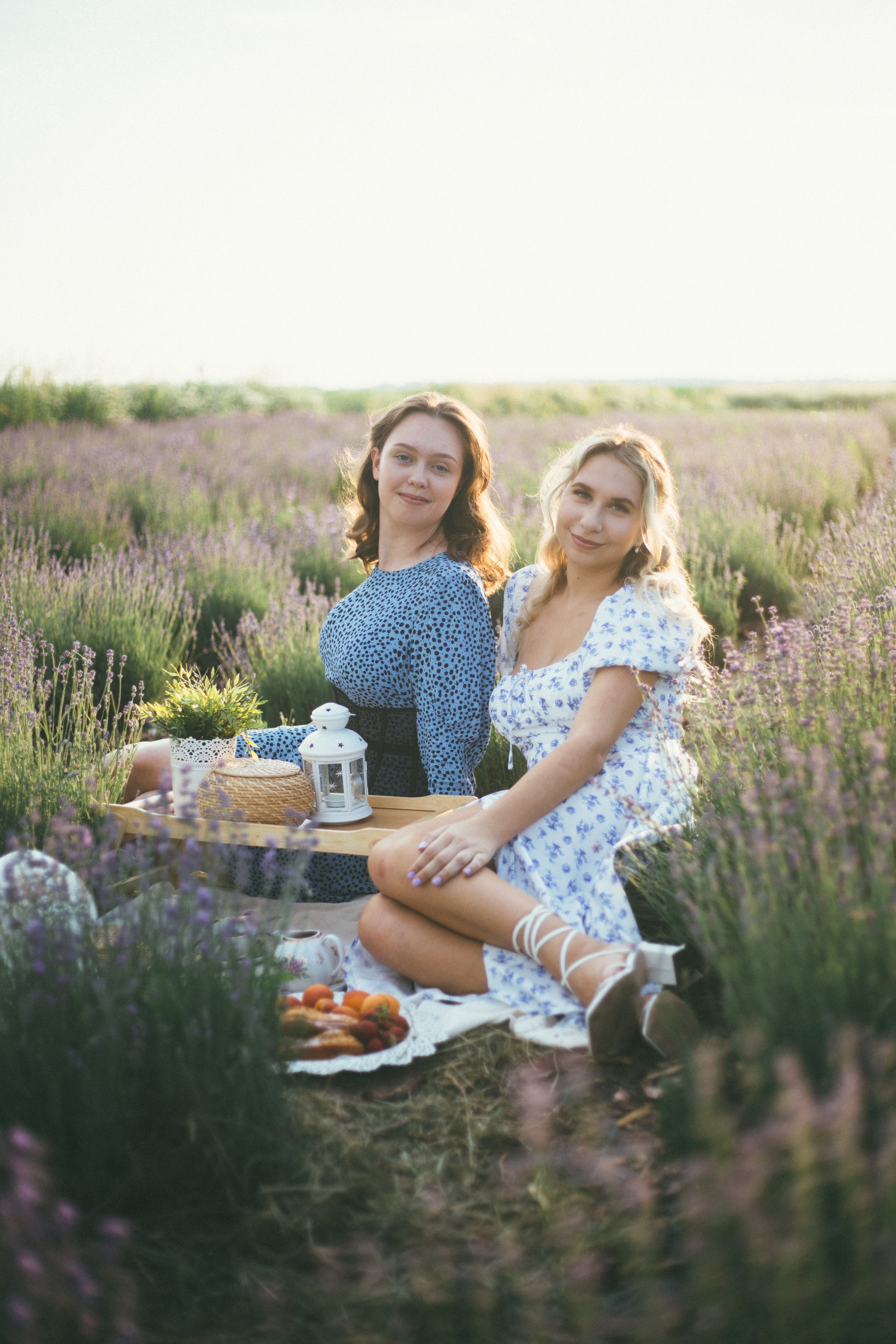 Lavender field. Photographer Anna Curly | Weddings and Events in Dubai